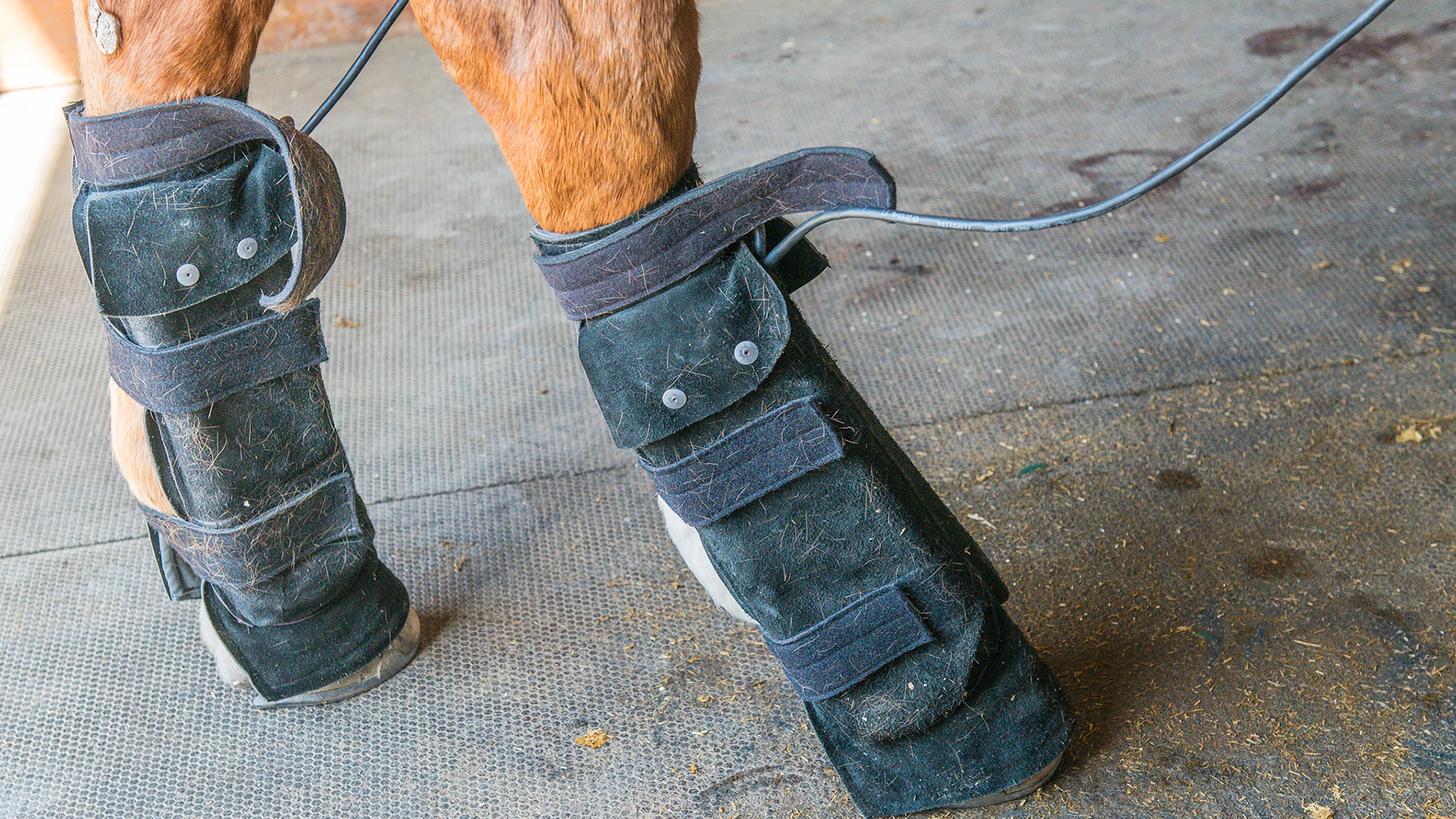Pulsing magnetic therapy boots which can also be used on the back.