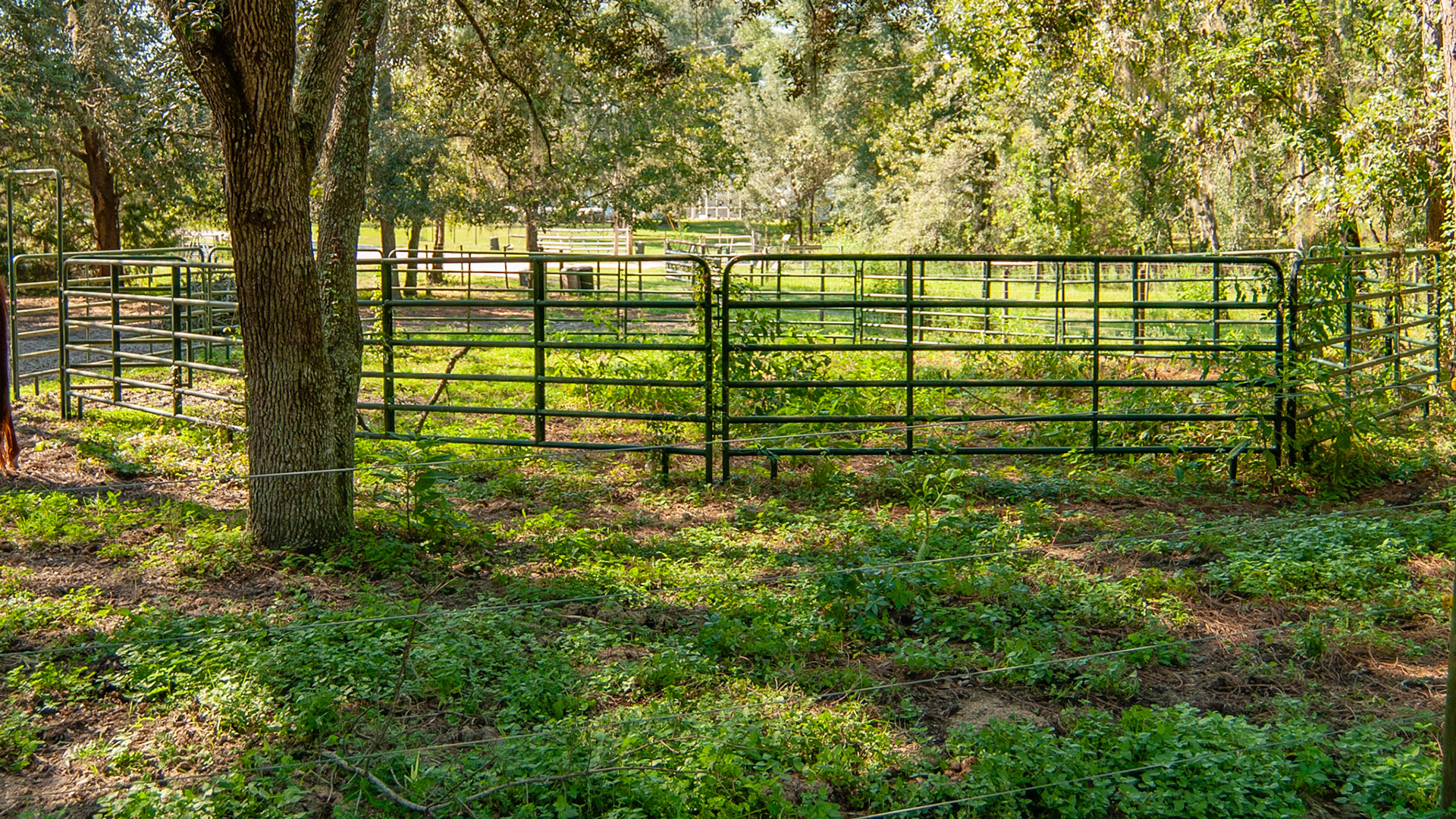 Pipe panels hitched together into a round pen.