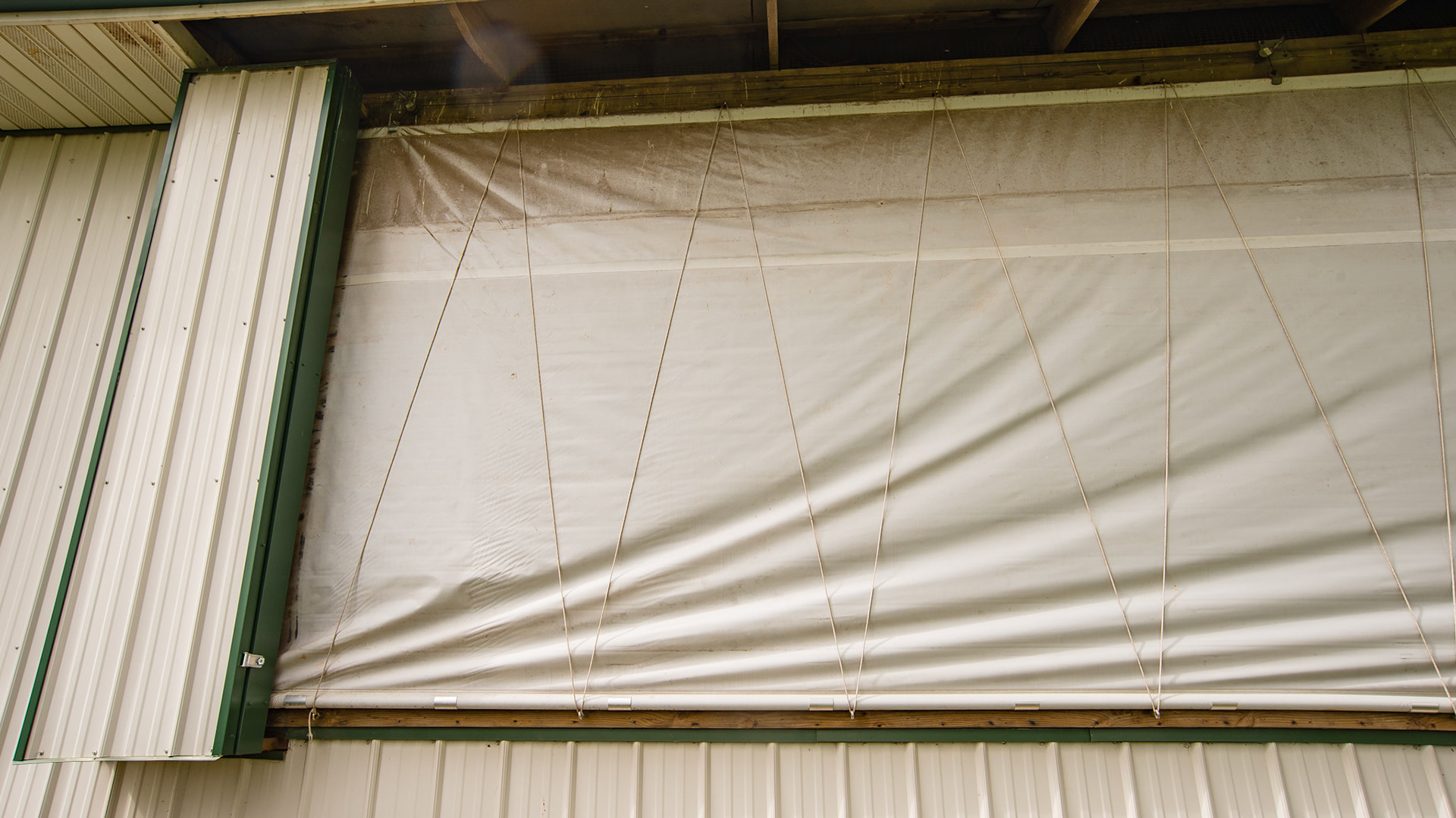 This plastic window covering runs the length of the barn and can be raised during good weather.