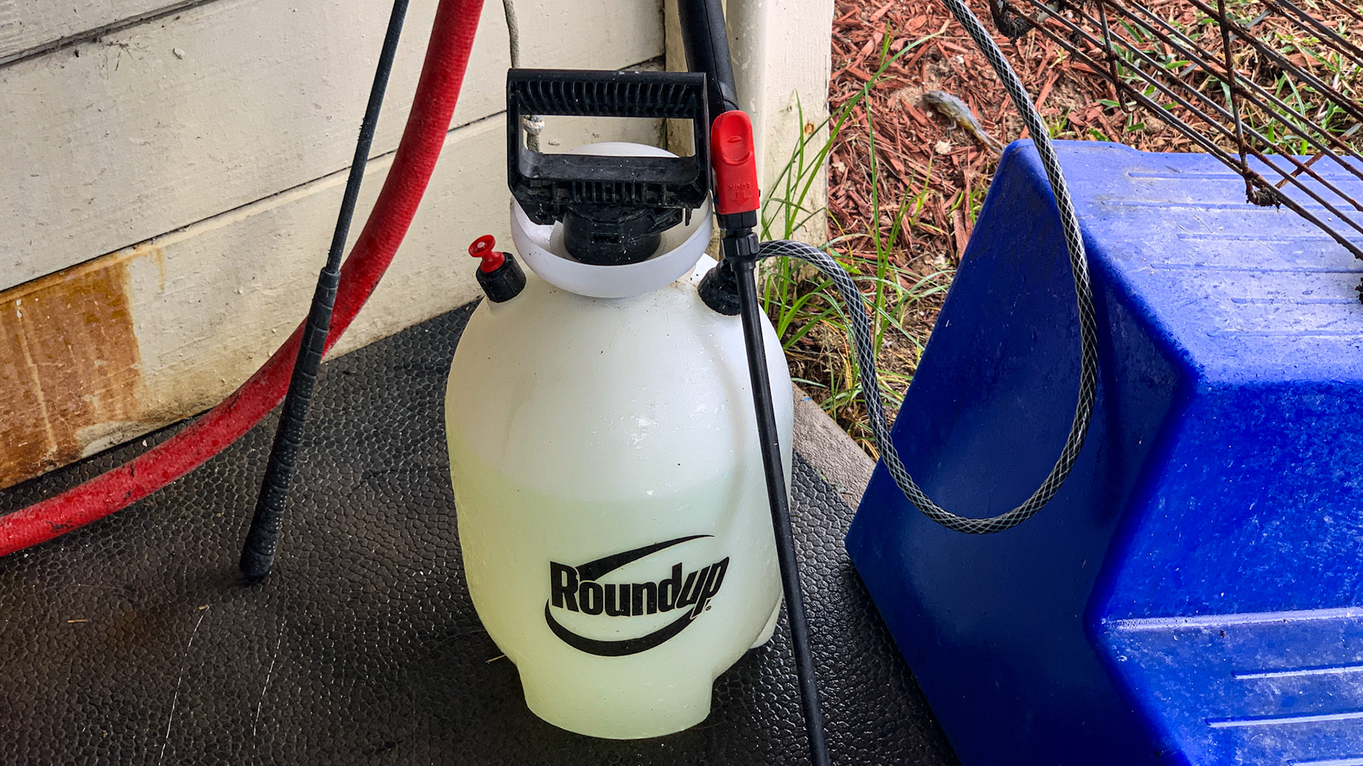 Roundup® is a brand of glyphosate used to kill broadleaf plants (weeds) around the world.  Here it is in a spray applicator on a horse farm in FL.  It also is used as a desiccant (drying agent) on crops including hay.  It has been vilified as well as proclaimed a life saver with many people being left confused.  If it is so bad, why is it still being used?