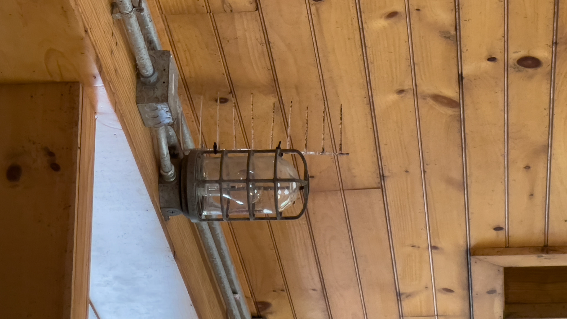 Note the plastic spikes zip tied to the light fizture to plevent birds from setting on it. Also note the fixture is on the edge of the stall and not the center.