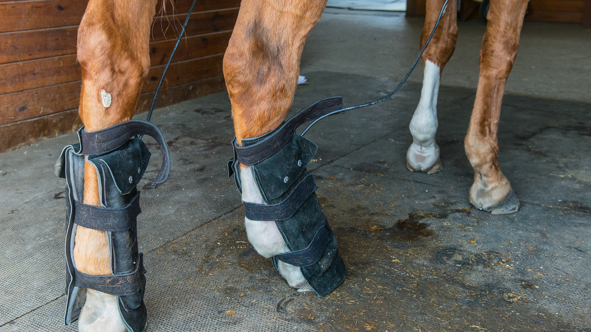 Pulsing magnetic therapy boots which can also be used on the back.