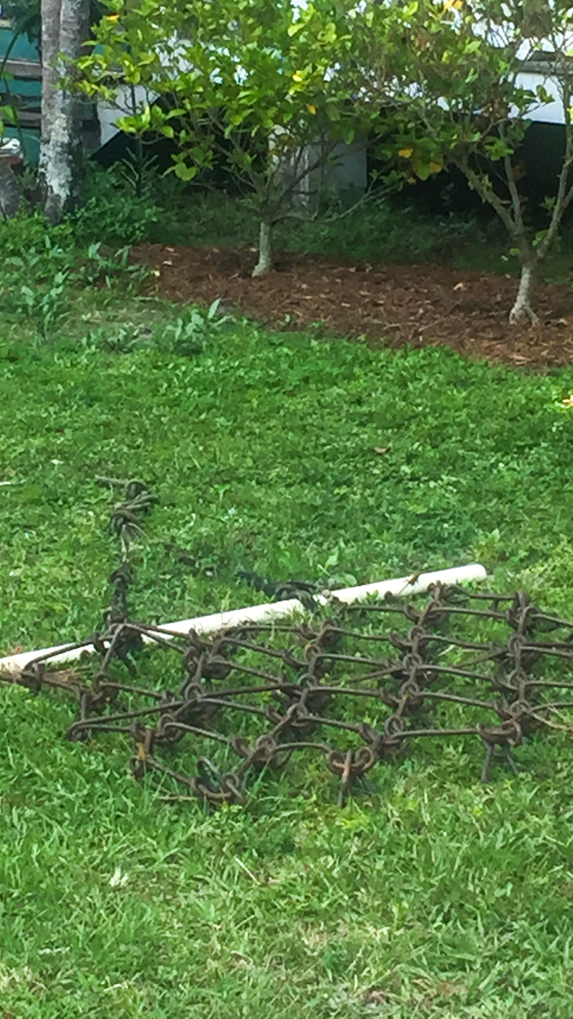 This small spiked harrow helps to smooth out uneven dirt including footing in arenas.  It also breaks up piles of manure to help them dry out (though not really an effective preventive parasite control. When kept in the grass like this it becomes a danger to any loose horse running around the farm.