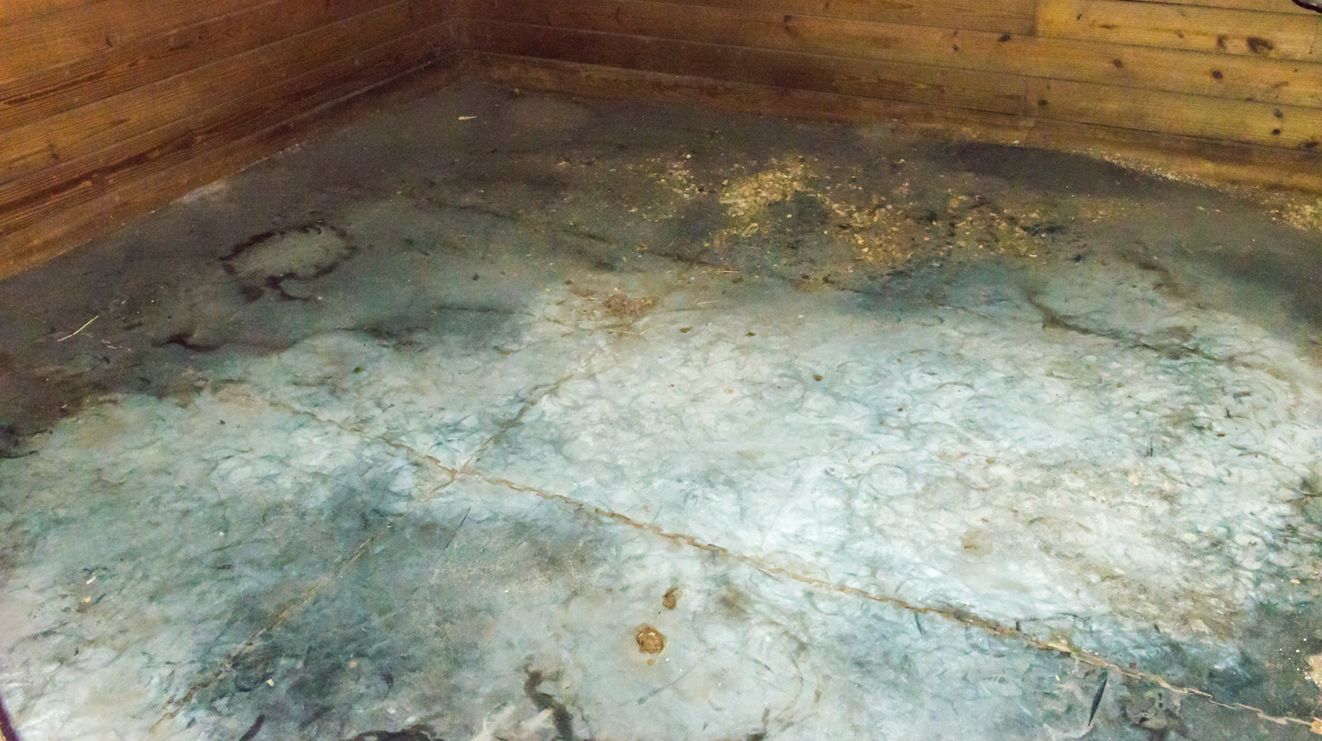 Rubber mats cover the stall floor. This is an unused stall where the urine salts and lime have crusted the rubber mat flooring.
