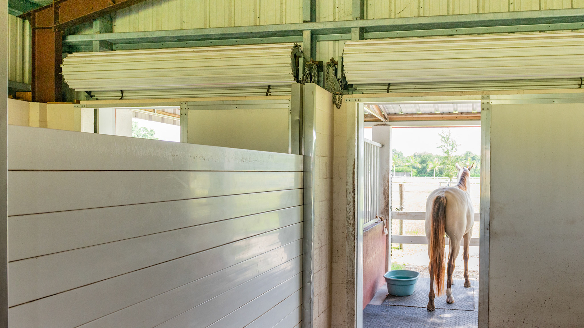 Hurricane proof doors close this stall fro the outside storms.  There are two morw located on the front of this barn.