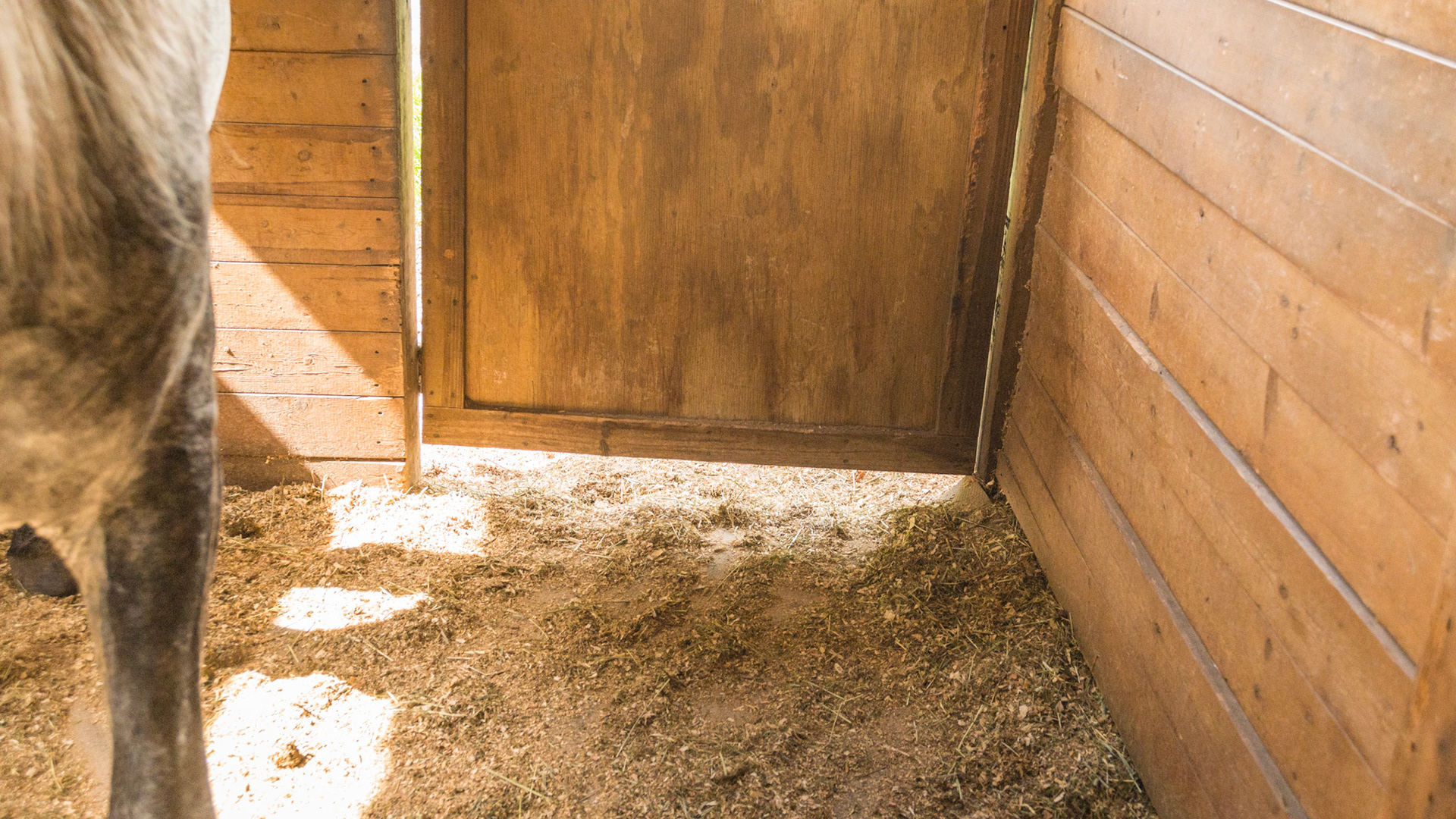 Opening below a stall door - wide enough for a leg entrapment.