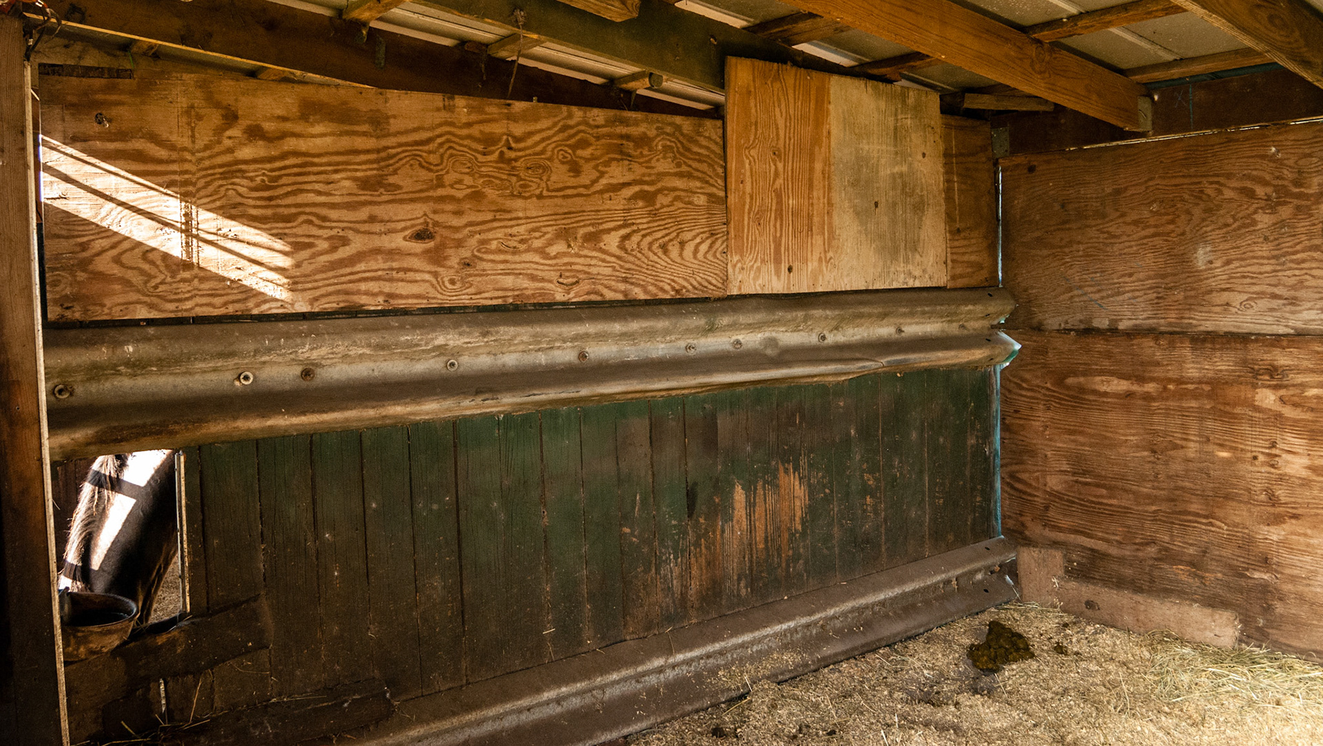 A unique stall wall made of roadside guard rails and vertical boards.  I am not sure why there is a hole between stalls at the bucket but maybe it is for sharing water