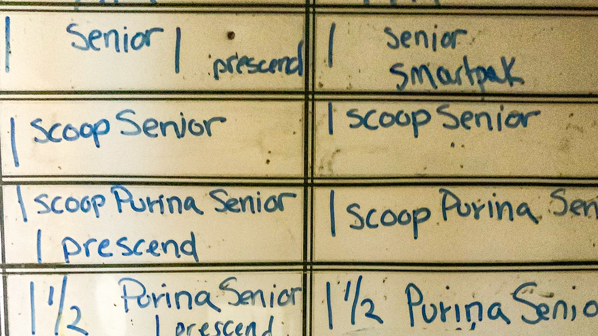 Feeding instructions for a barn full of old horses - and they all look it with poor top lines, hair coats and hooves.