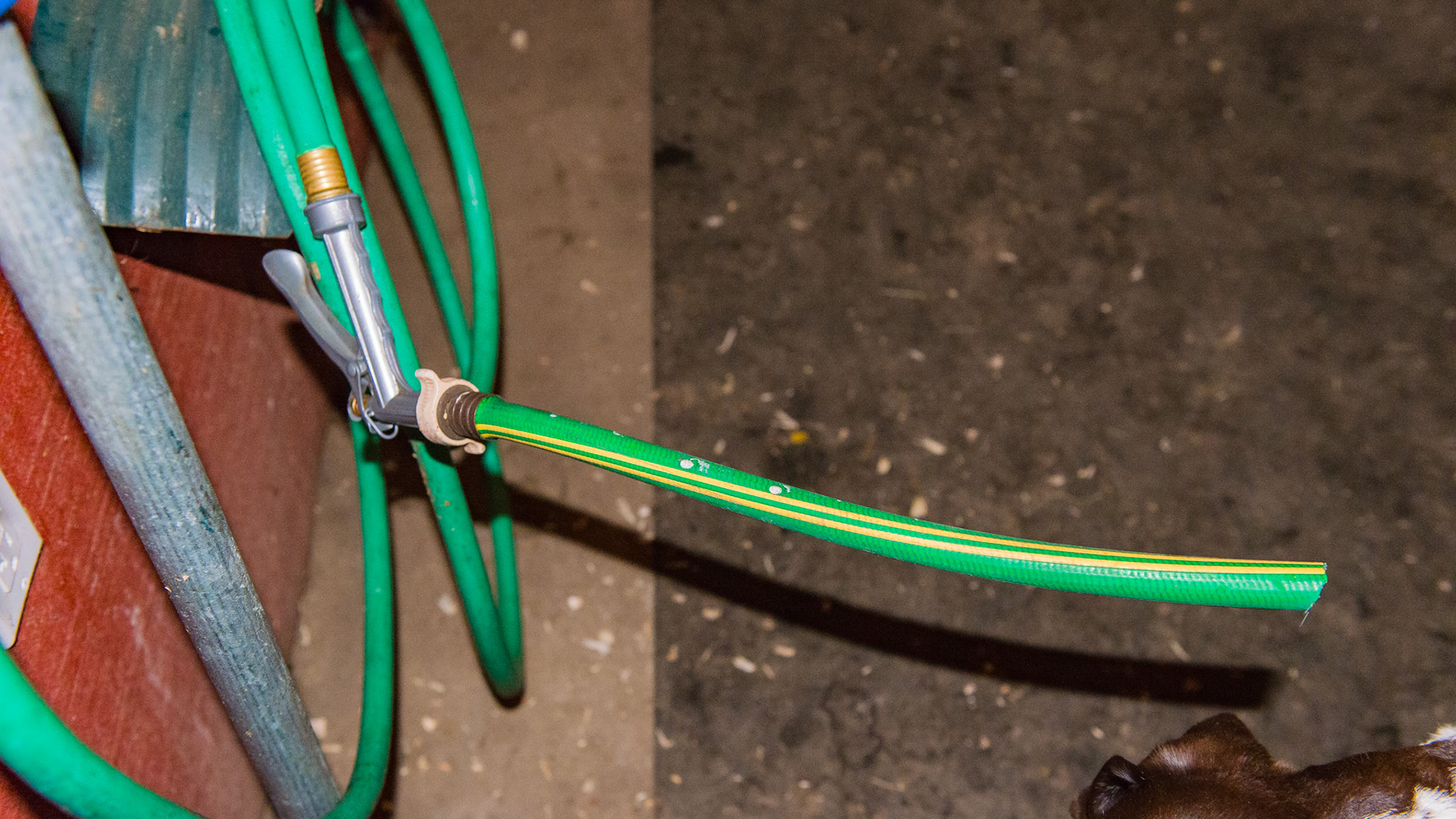 This simple hose extension transforms the overpowered stream or spray into a steady flow of water for filling buckets.