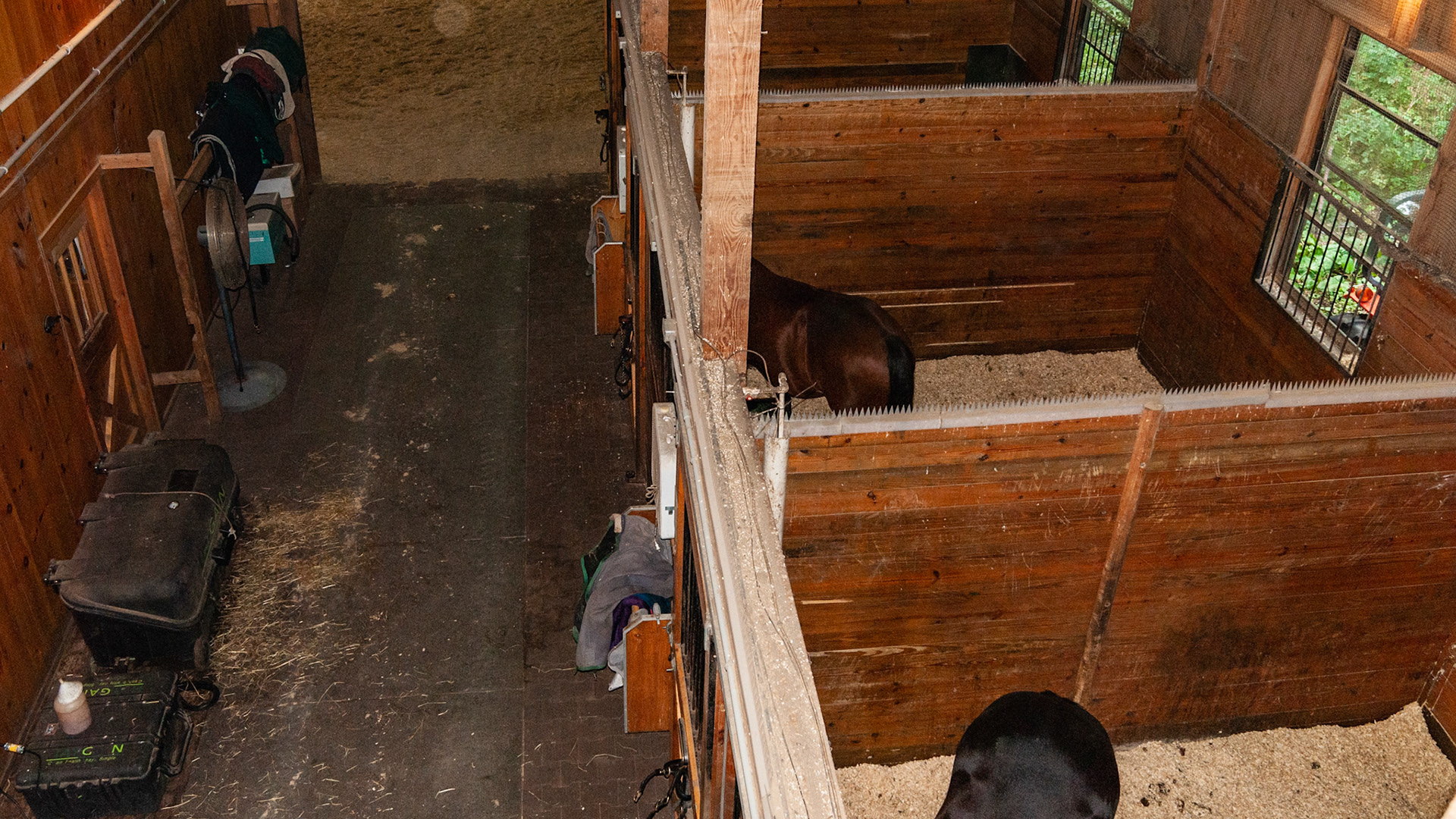 Vertical plastic spikes on the top edge of the stall walls.