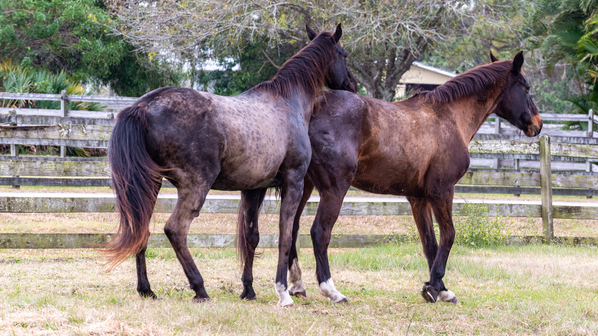 13/25 - She pushes back into him.