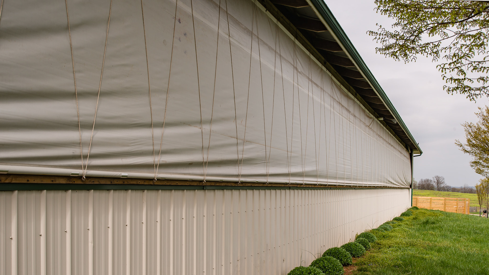 This plastic window covering runs the length of the barn and can be raised during good weather.