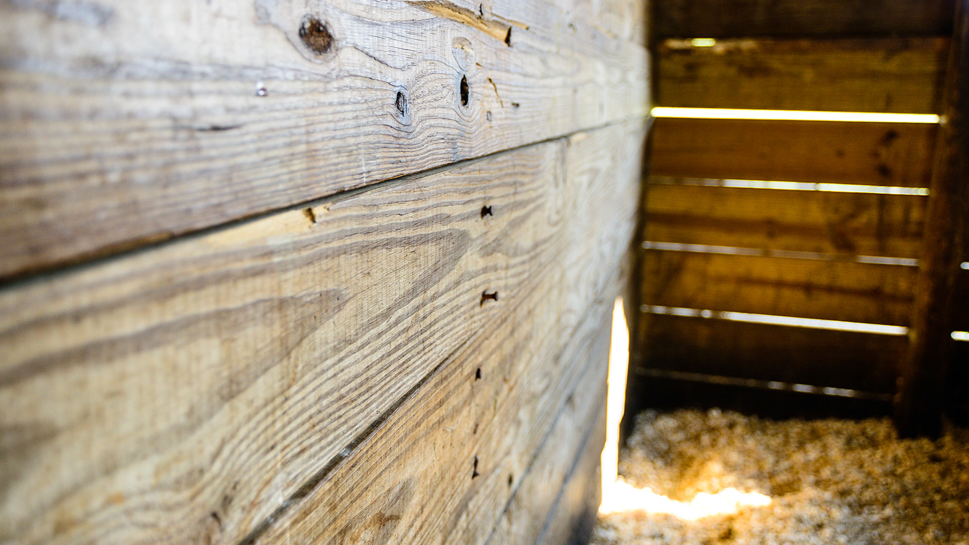 Exposed nails are common and can easily tear flesh and skin.