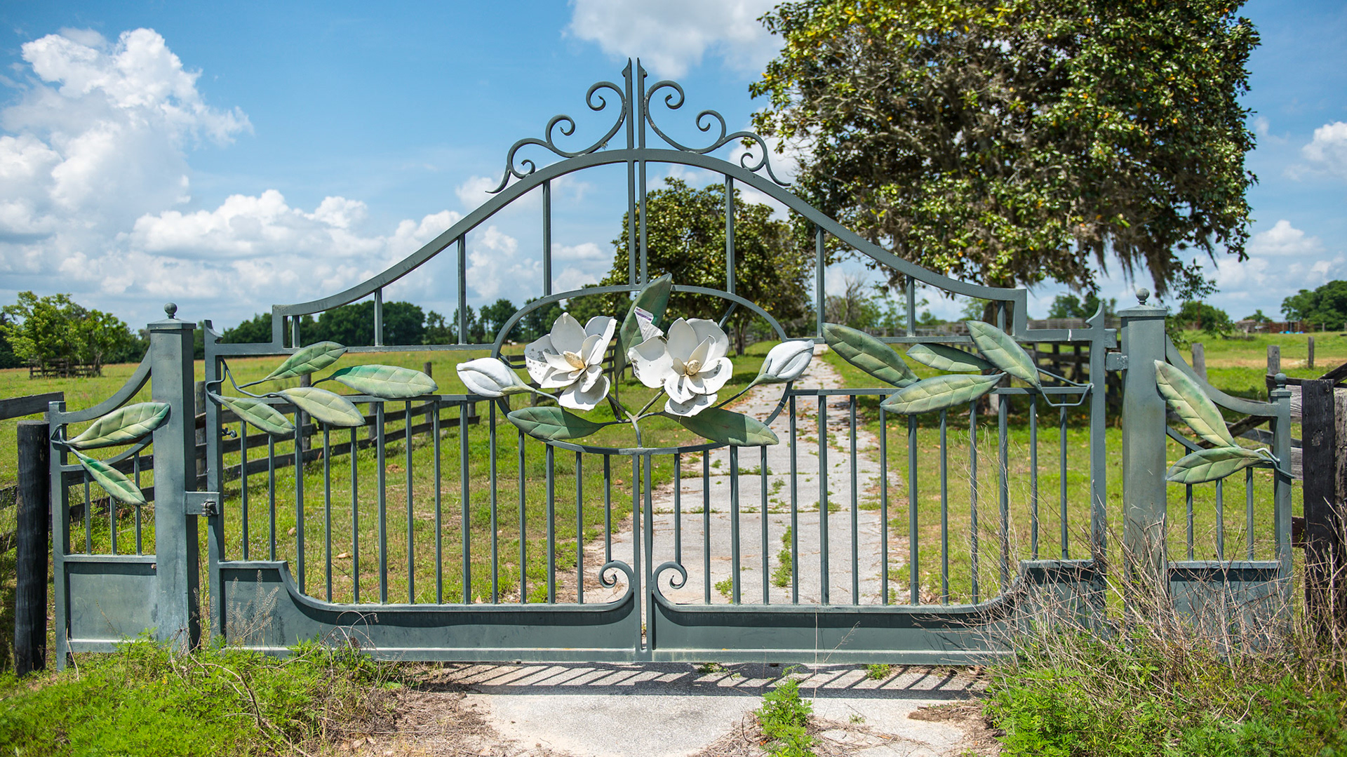 Beautiful driveway gates leading to a farm in Ocala, FL