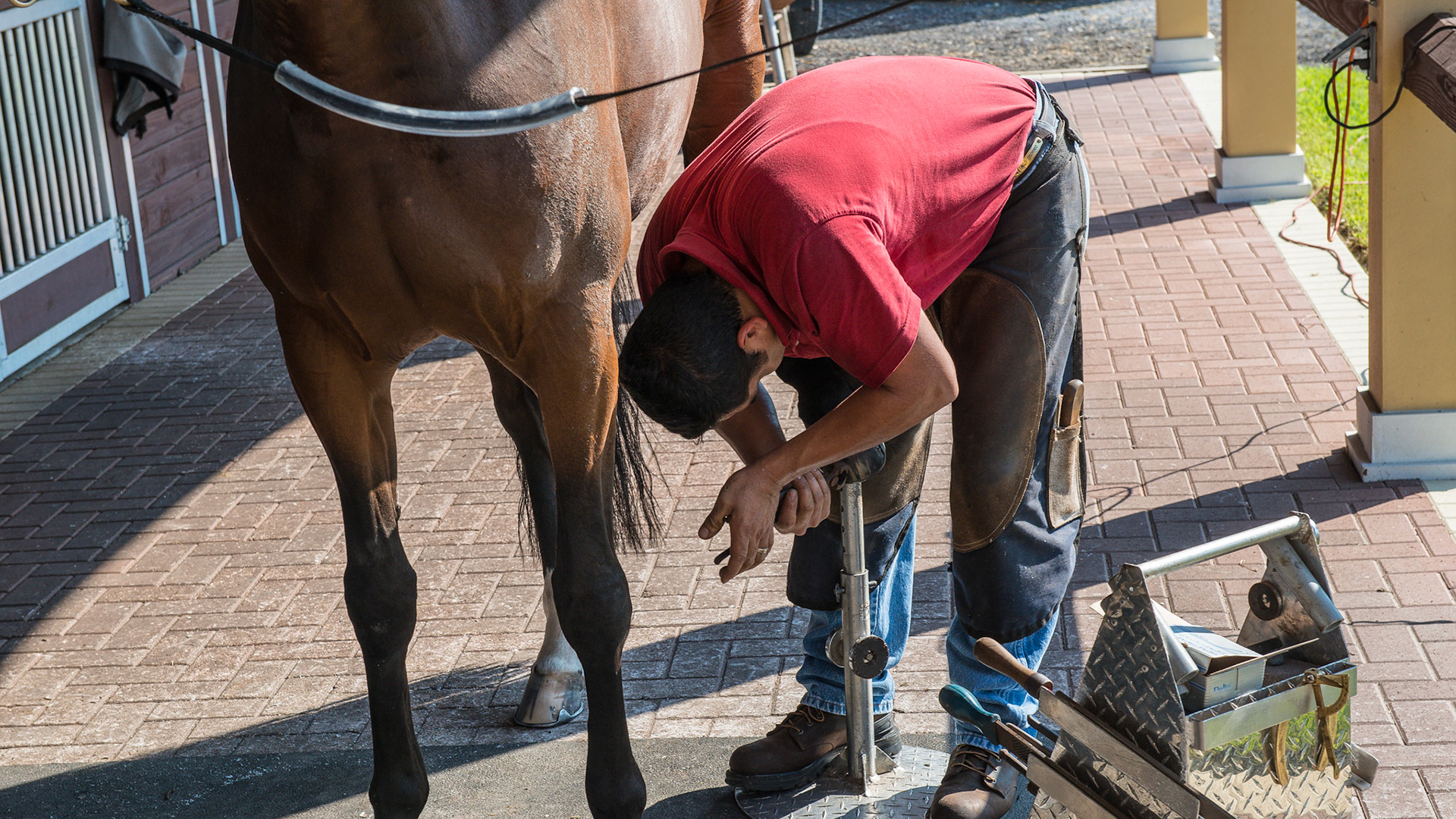 A farrier working safely with a horse cross tied.