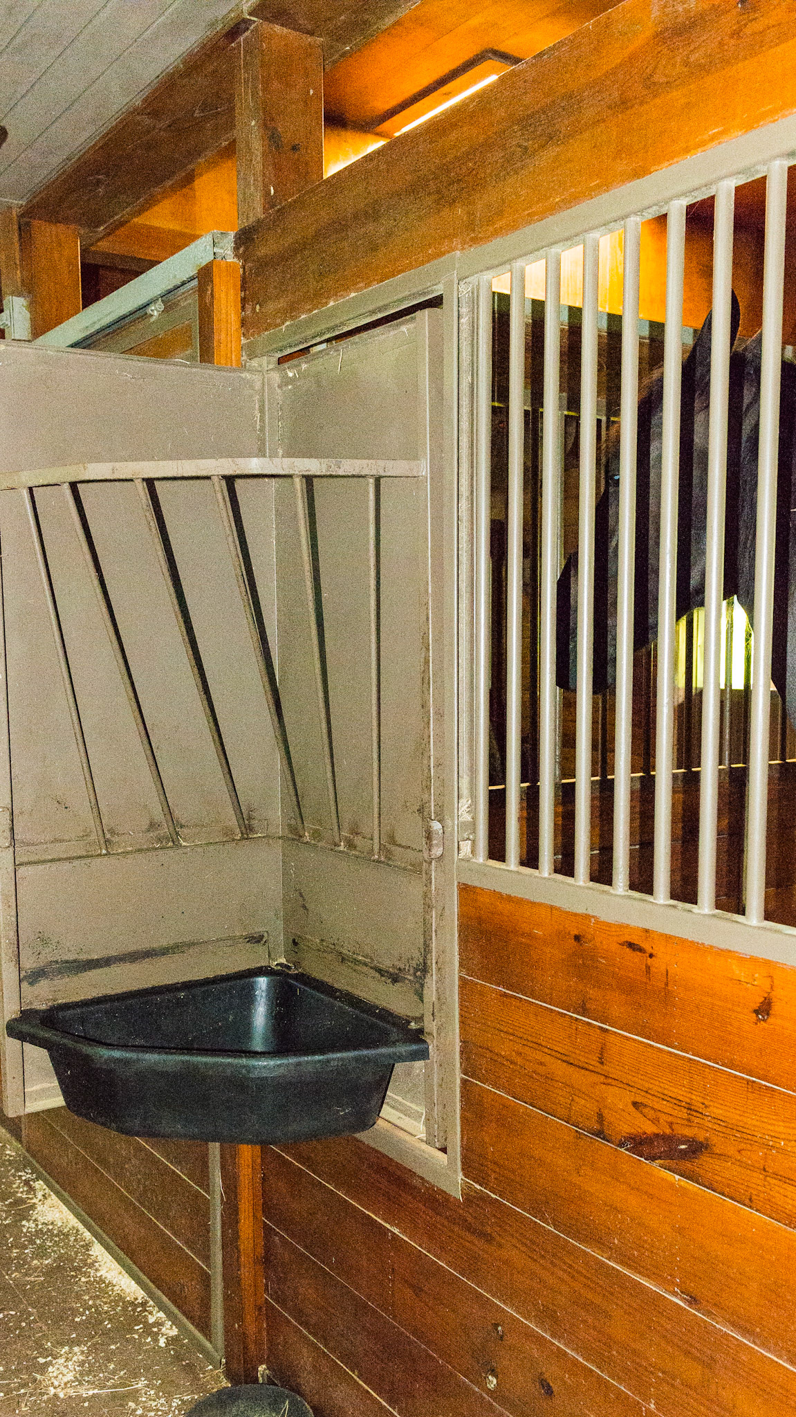 Stall feed door rotates for access to either inside or outside the stall and locks into either position.