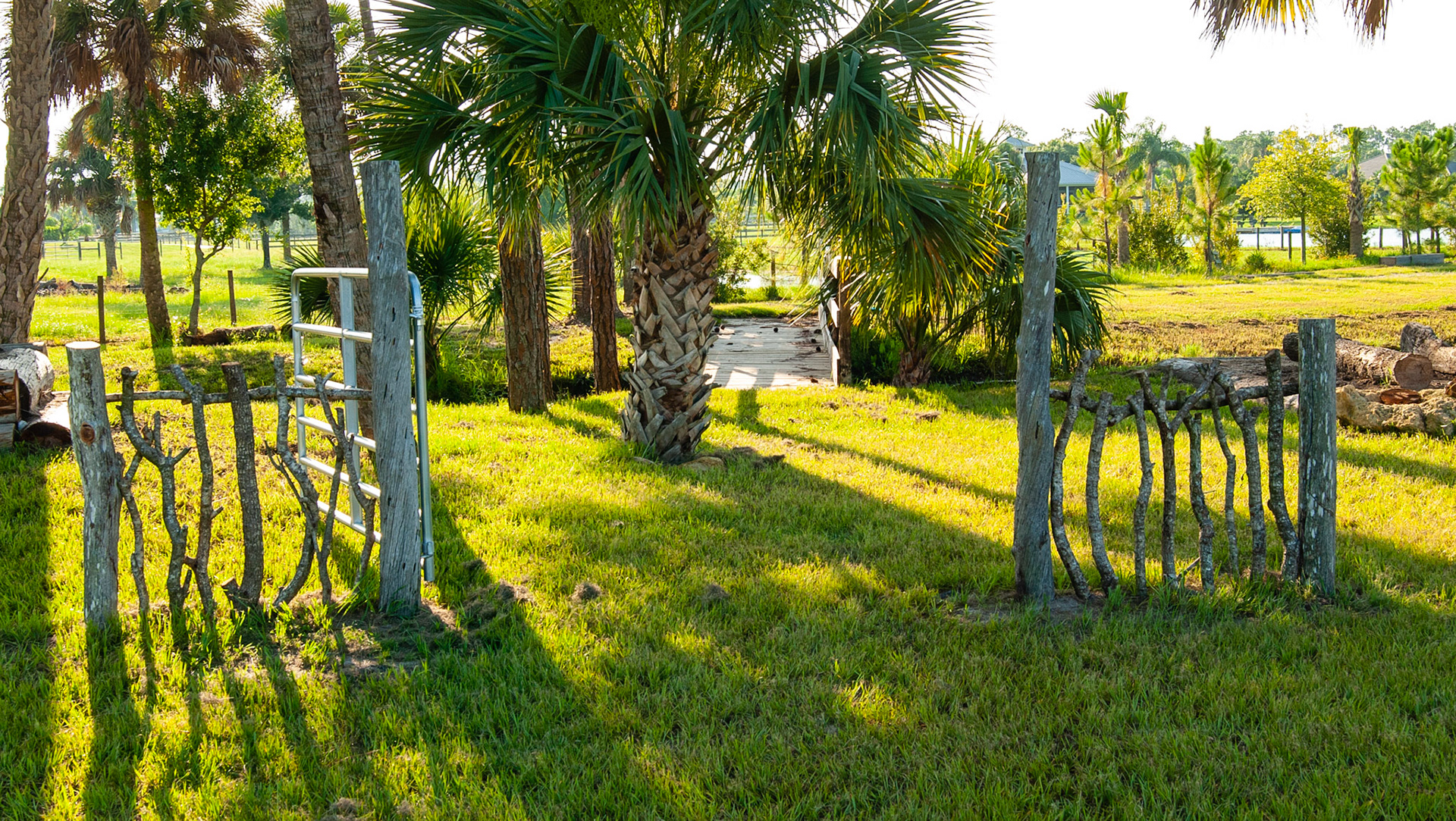 An extreme trail system in Florida about a mile from my home.