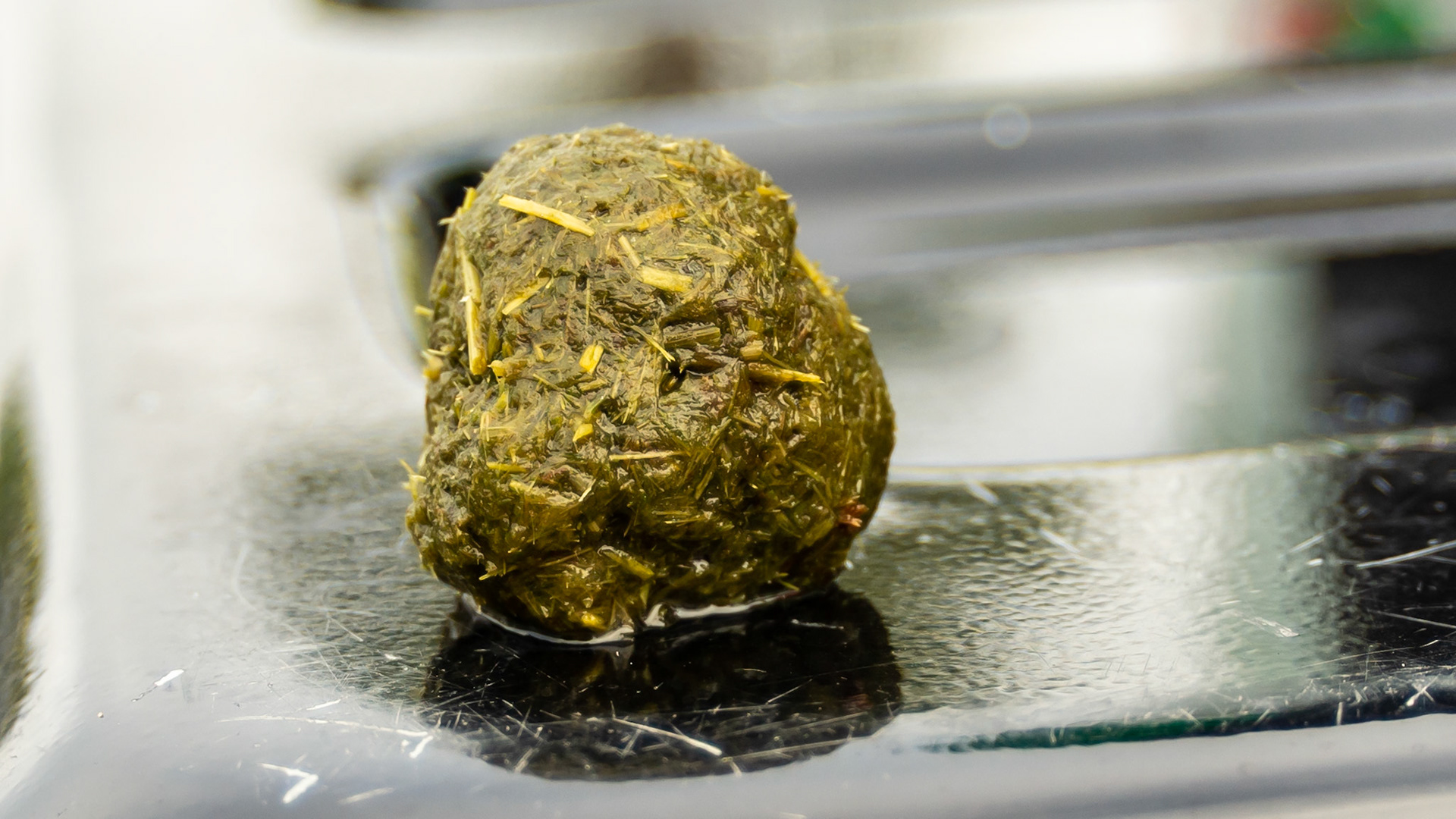 A hay ball found tucked behind 211, the horse unable to remove it with his tongue.  This can be found in horses with very sharp upper last cheek teeth and an unwillingness to move the material out with their tongue from pain against the sharp points.