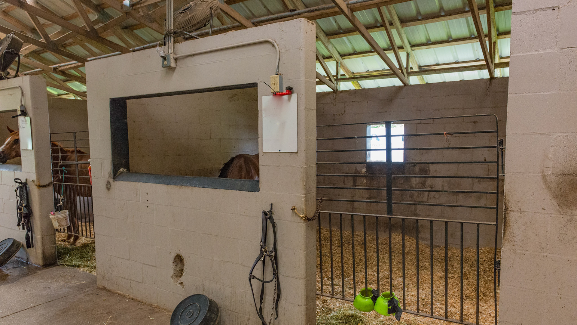 CBC of stalls with a large front opening allowing the horse to look around. Every stall had little damage from "horse ware."