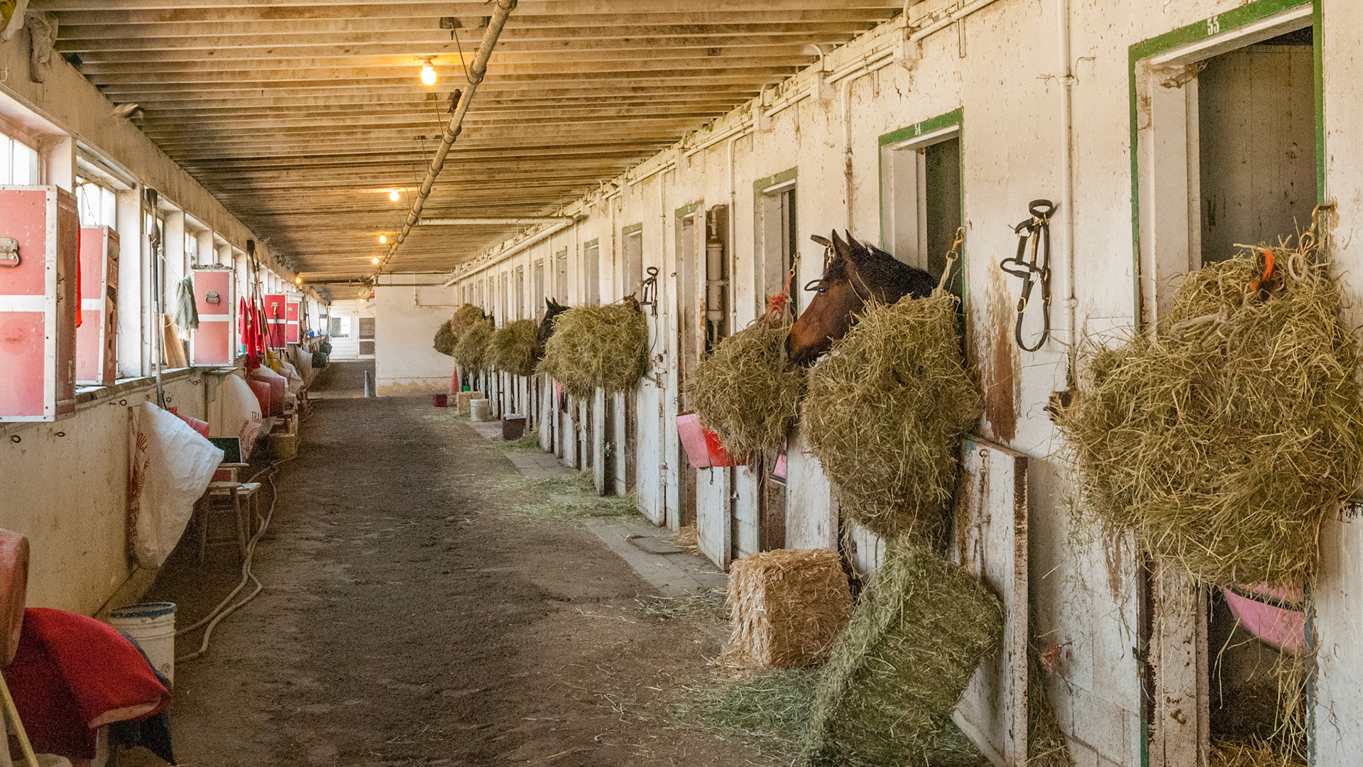Barn Interiors