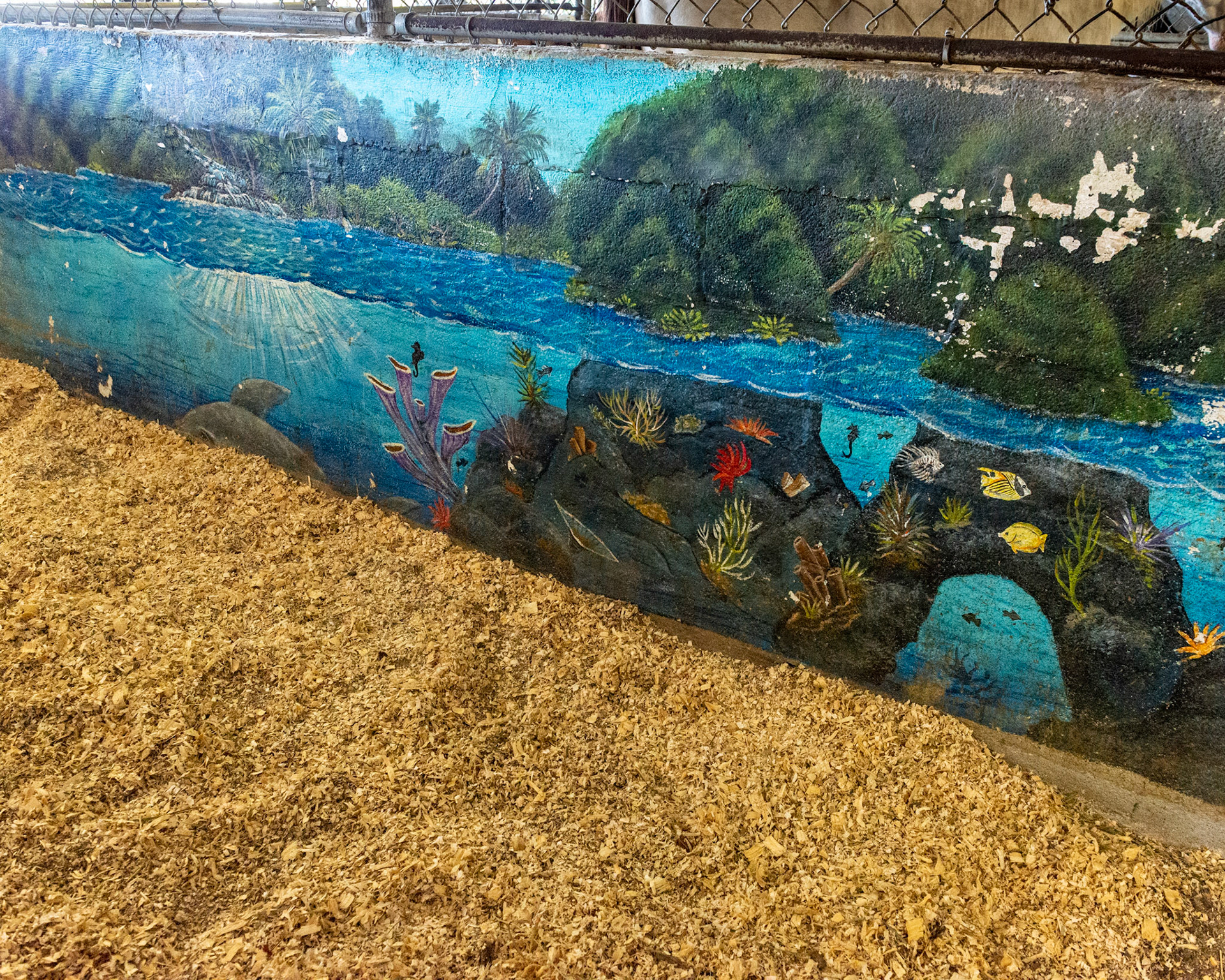 Hand painted mural by the horse's owner.  The painting was done 3 years ago and has maintained itself well with just some pressure washing. She is planning on repainting it this winter.