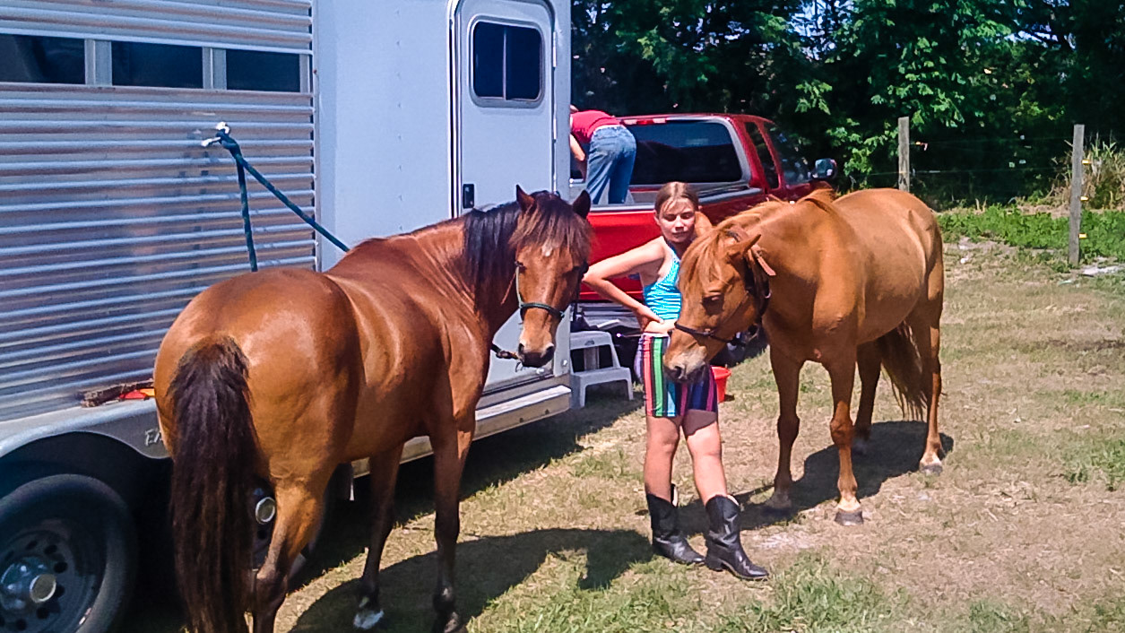 It is common to tie horses to a trailer but some problem can occur including a fight with the trailer and people getting hurt.