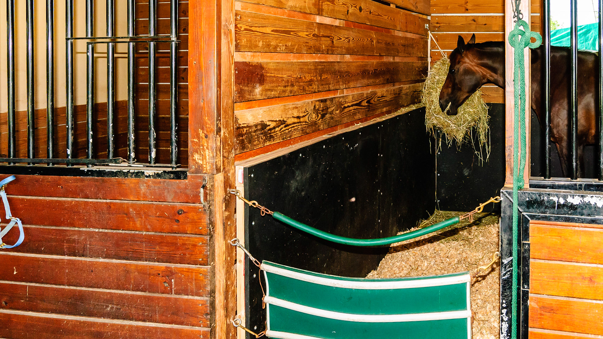 Usually kick mats are screwed or glued directly to the wall. This man’s idea was to buffer the kick by placing the mat away from the wall. He eventually removed it because the shavings worked their way up behind the mat.  Maybe if the bottom edge was about a foot off the ground it would not have been a problem. I thought the idea was good to prevent injury to the horse.