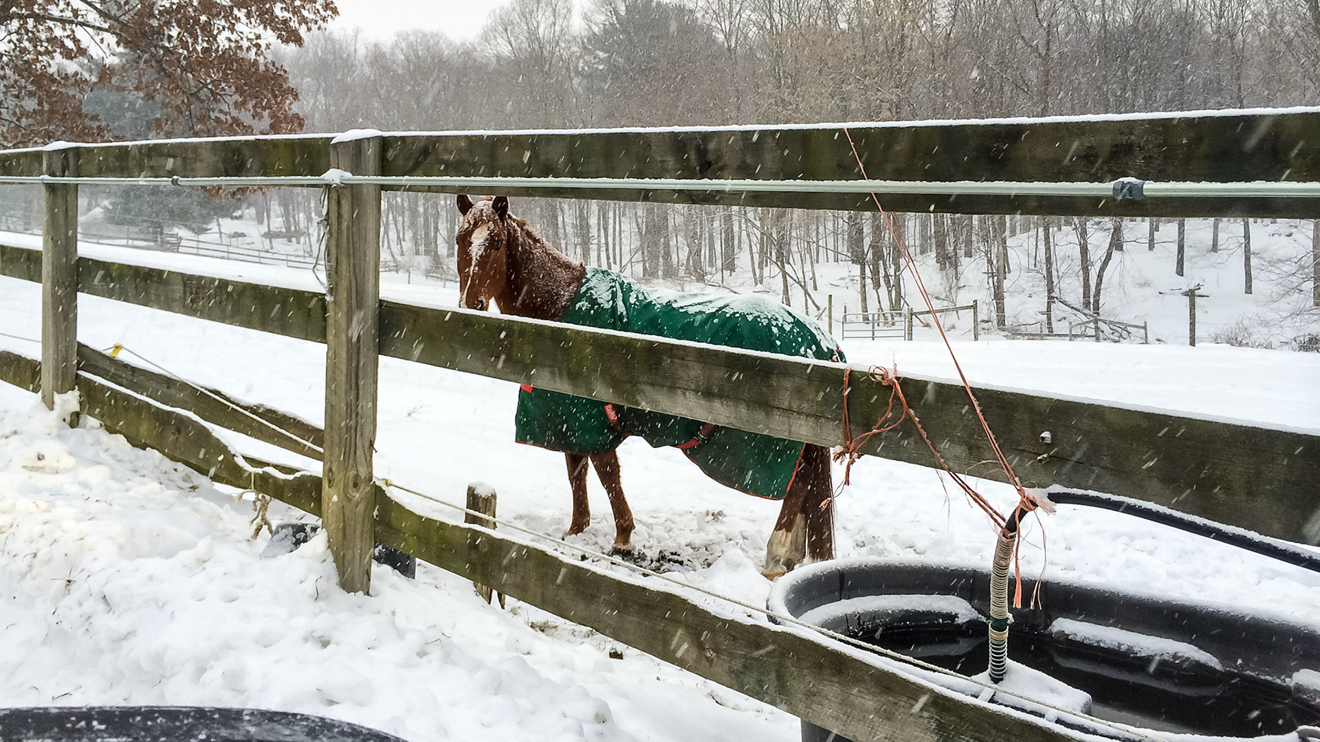 The water in this tank has no ice because it is heated electrically (the wire is at the lower right corner.