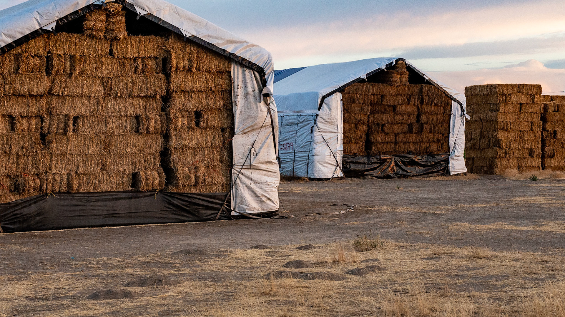 A common sight in eastern WA where hay and straw are baled and kept outside covered in tarps except for the ends.  About 15 to 20 bales fit on a semi trailer so these are very big storage areas of very big bales.