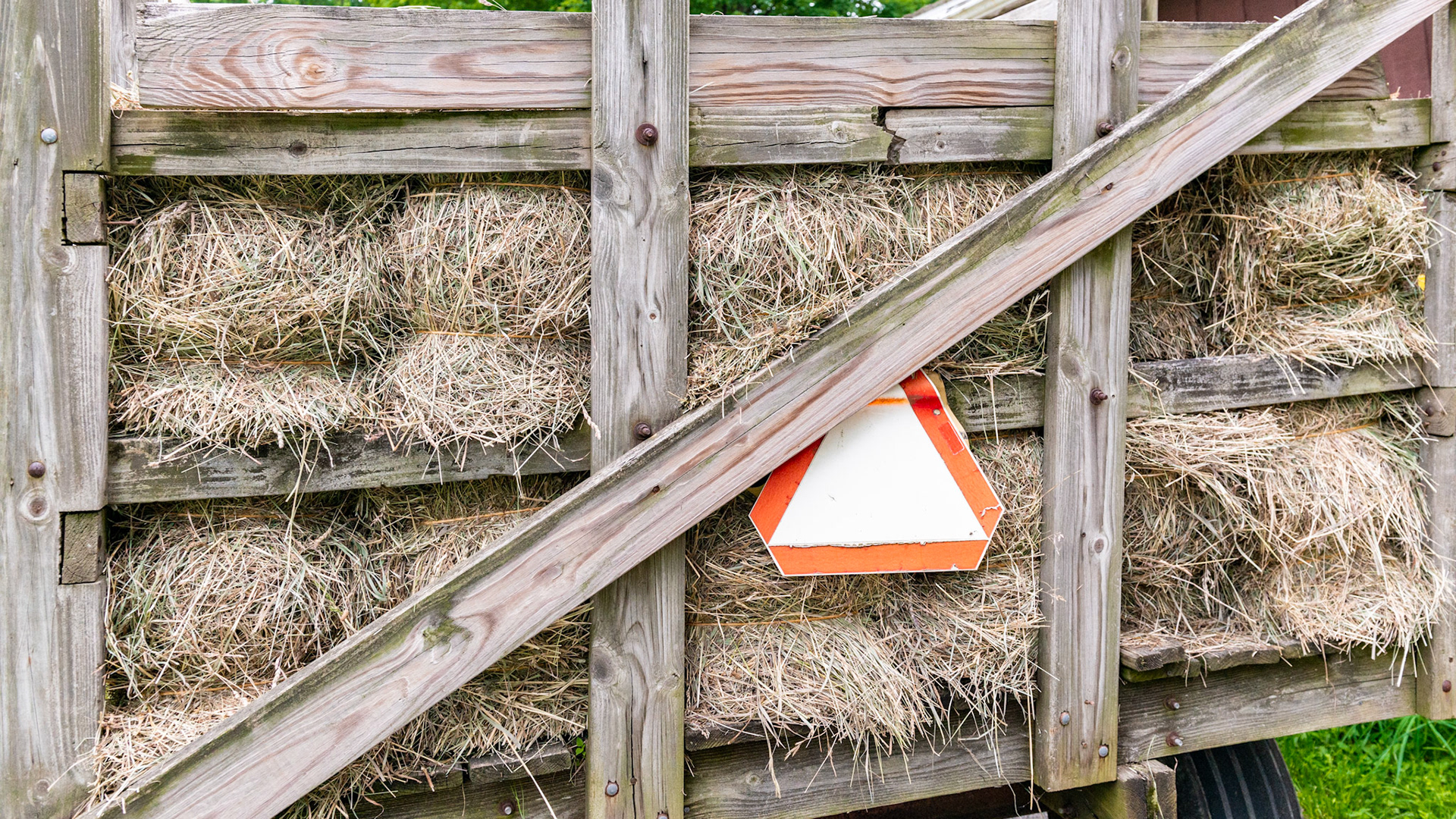 Grass hay bales fresh from the field delivered to the barn.