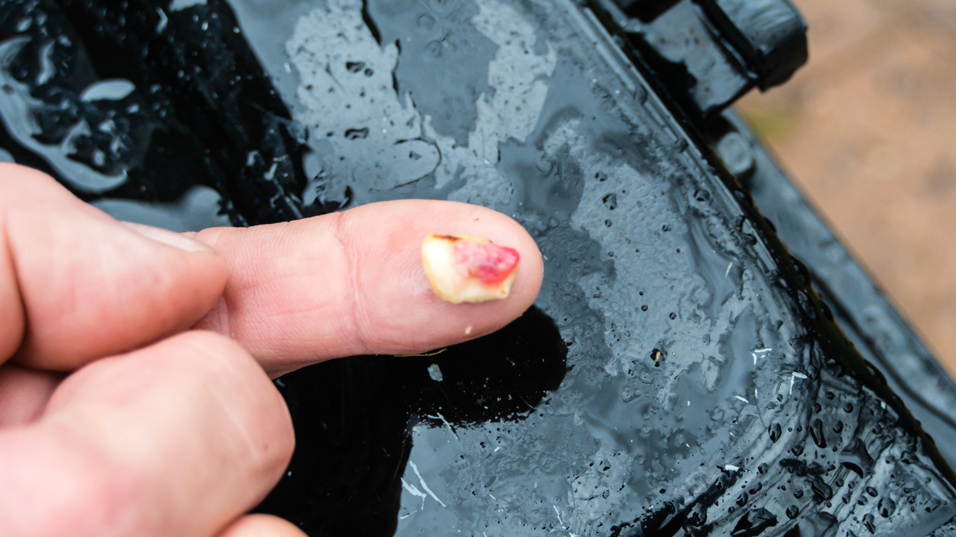 Cap remnant lingual 408 in an 18 year old. Painful and malodor.  Think of a popcorn kernel stuck between your tooth and gum that you can't remove with your tongue. That is what a cap remnant is like. Usually found in young horses, it is very unusual to find them in an 18 year old.