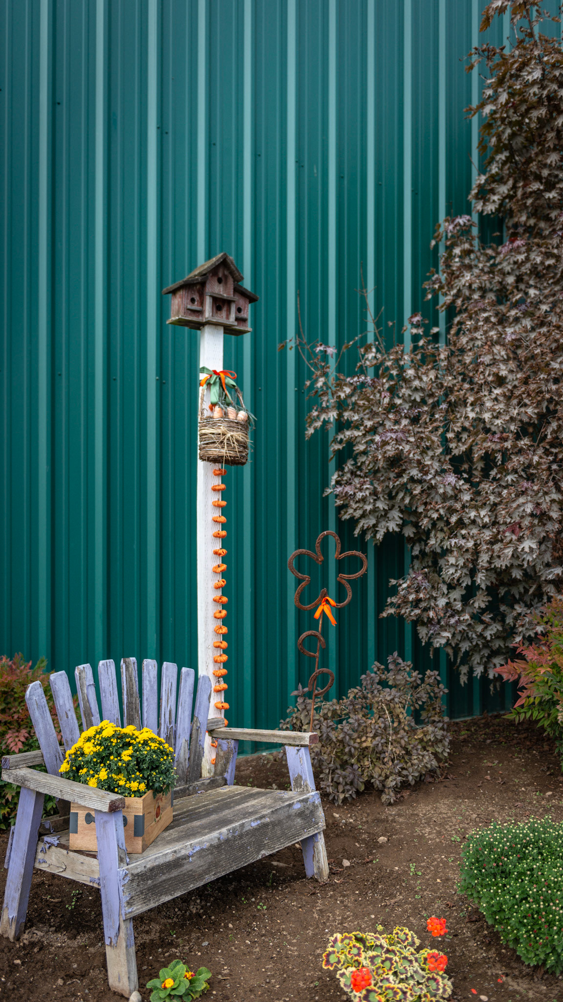 Autumn scenes at a farm in WA.