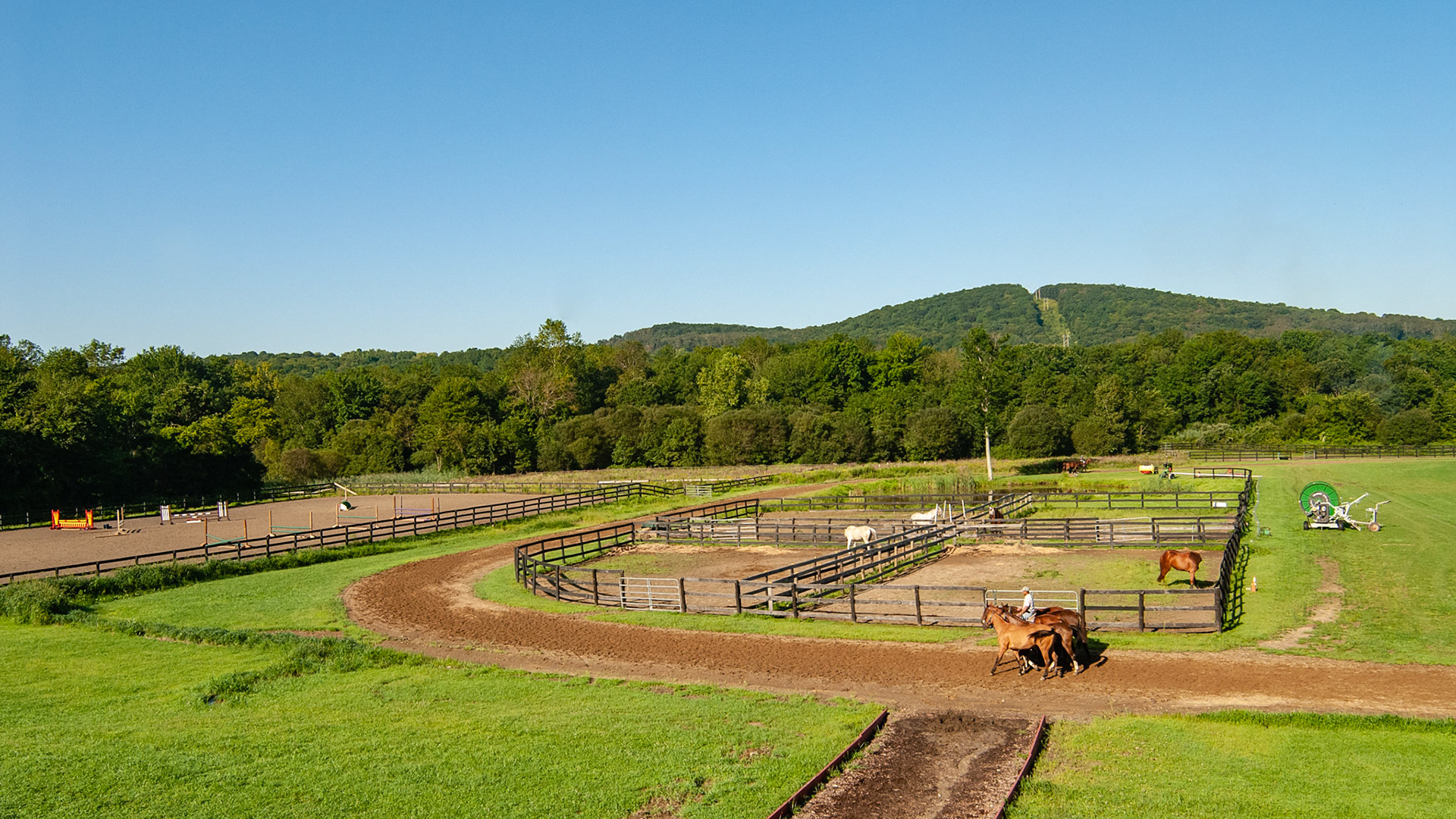 A jog track for polo horses