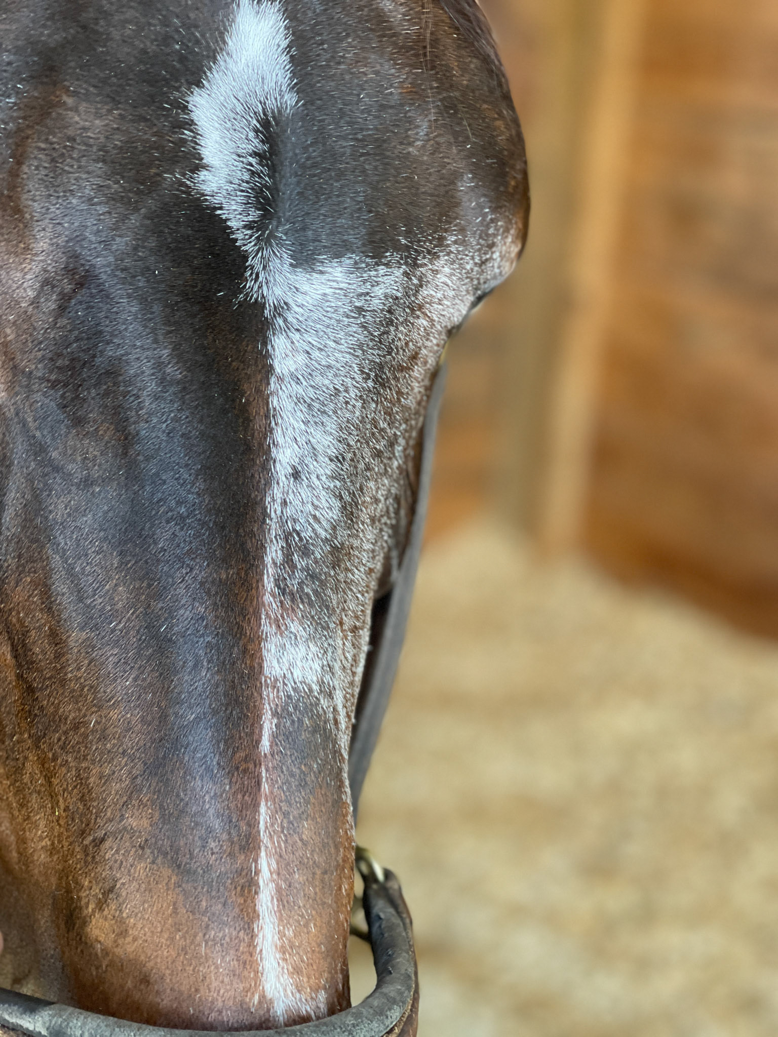 Interesting face pattern.