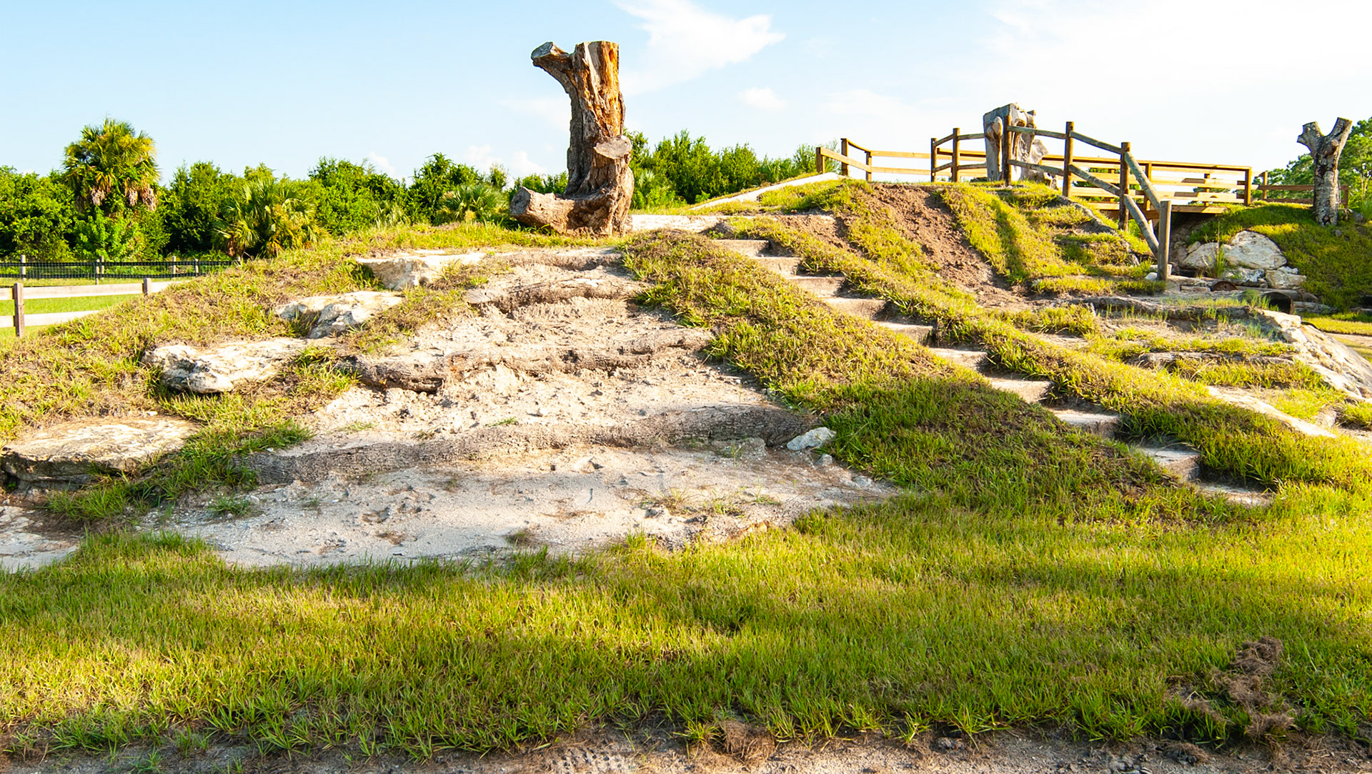 An extreme trail system in Florida about a mile from my home.