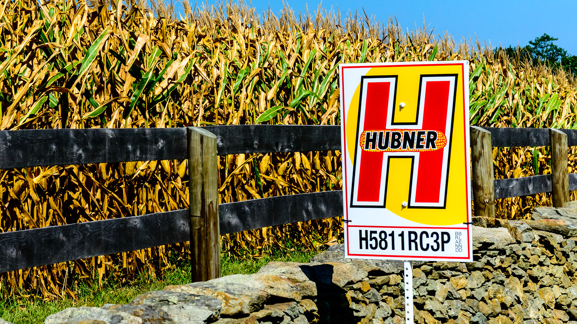 Corn is genetically modified naturally by mixing varieties to create “blends” as this sign announces. The effect on the body physiology is not addressed.