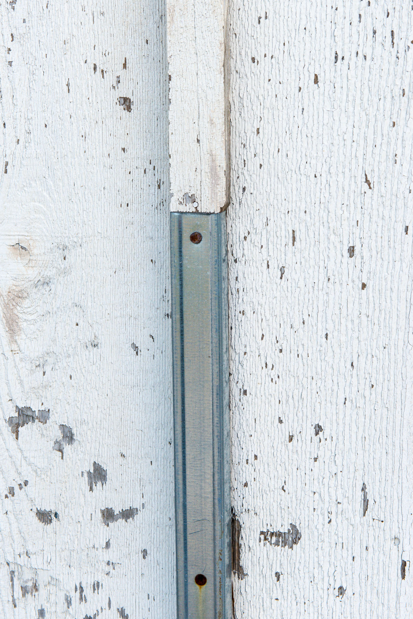 Battons with form fitting sheet metal channels nailed on. These have effectively stopped the chewing not only on the battons, but on the window frame as well.