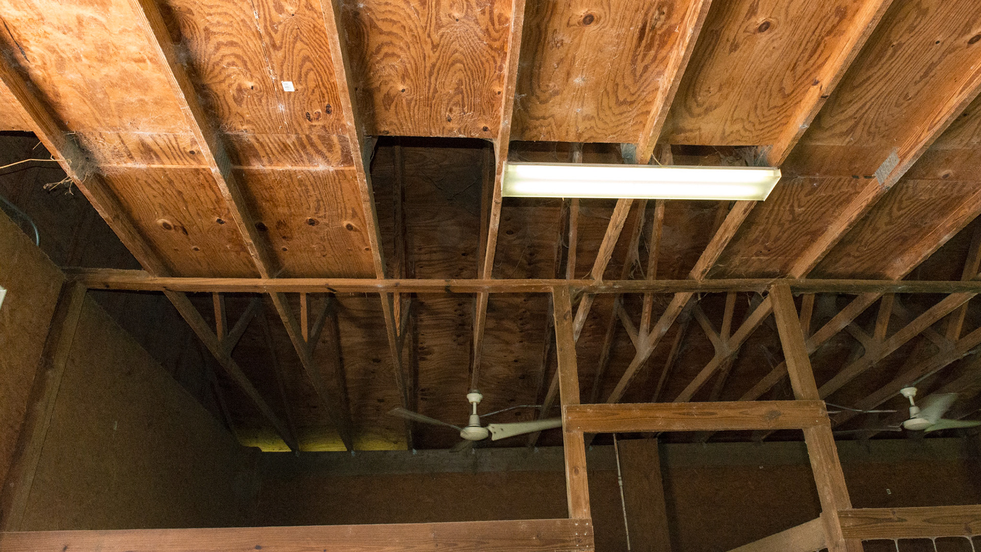 Plywood is laid across the trusses for walking on to distribute hay into the stalls below.