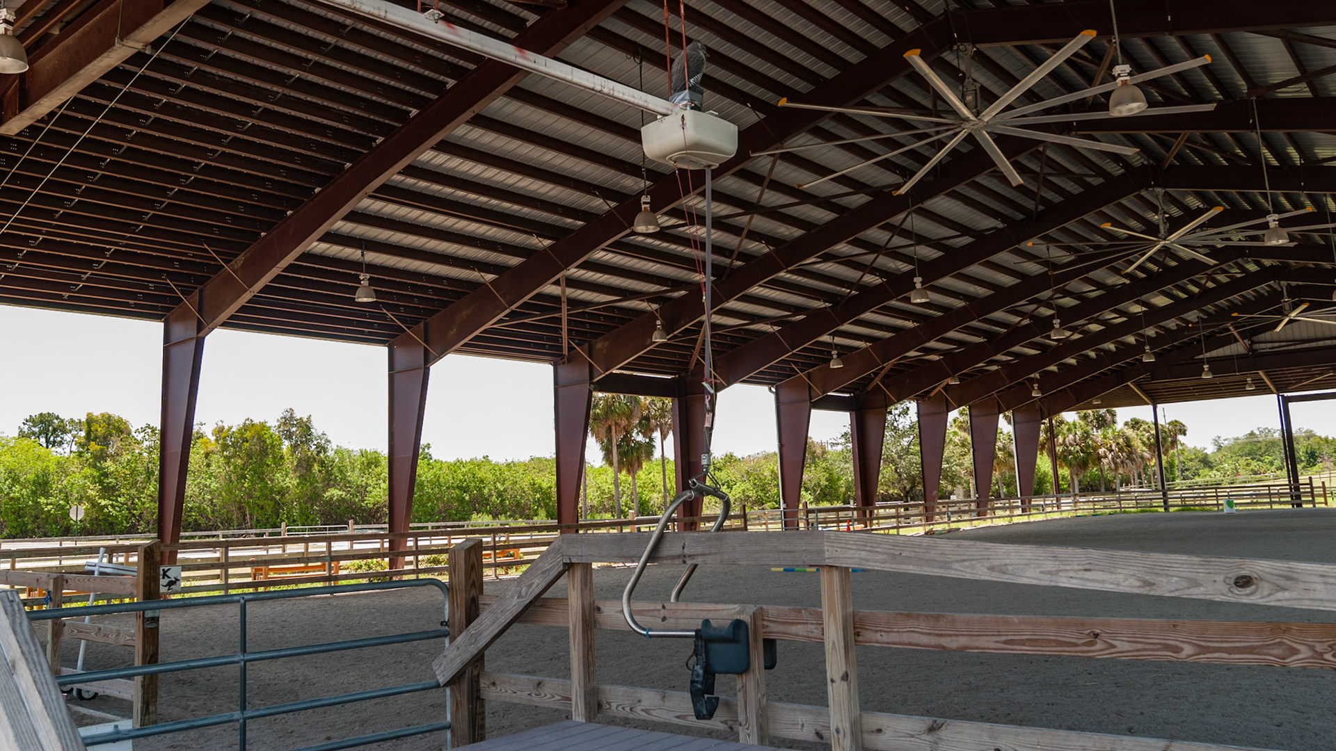 This is a motorized lift to help people get on the waiting horse.
