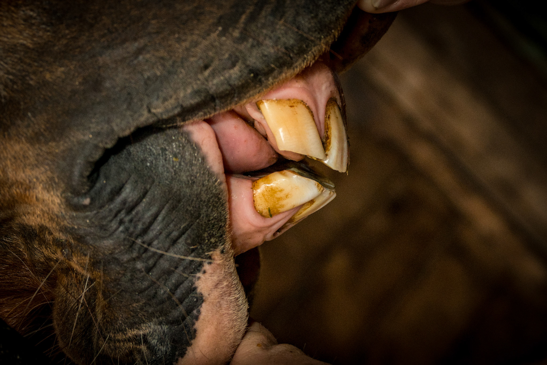 24yr old, Relaxed space