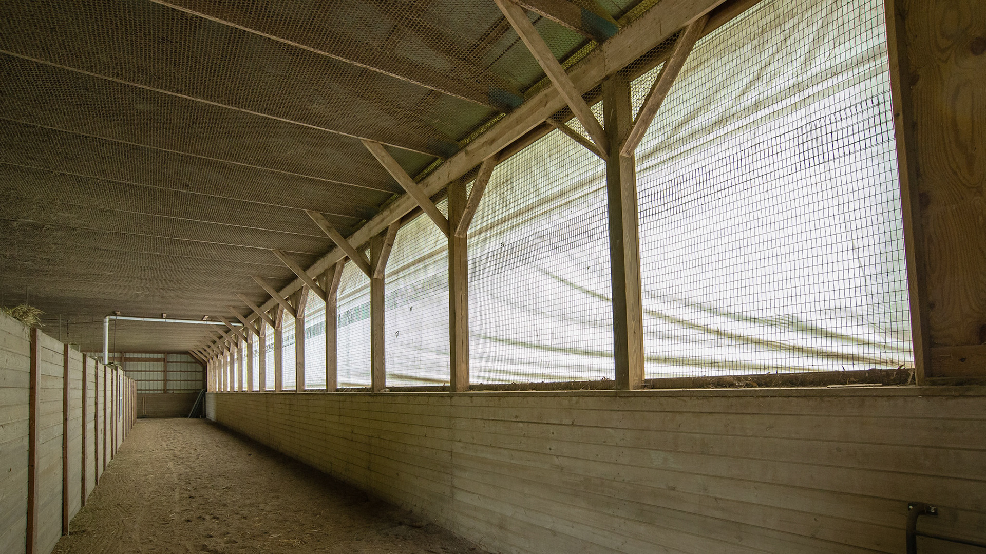 This plastic window covering runs the length of the barn and can be raised during good weather.  The stalls are to the left and are surrounded by a jog ring inside the barn.