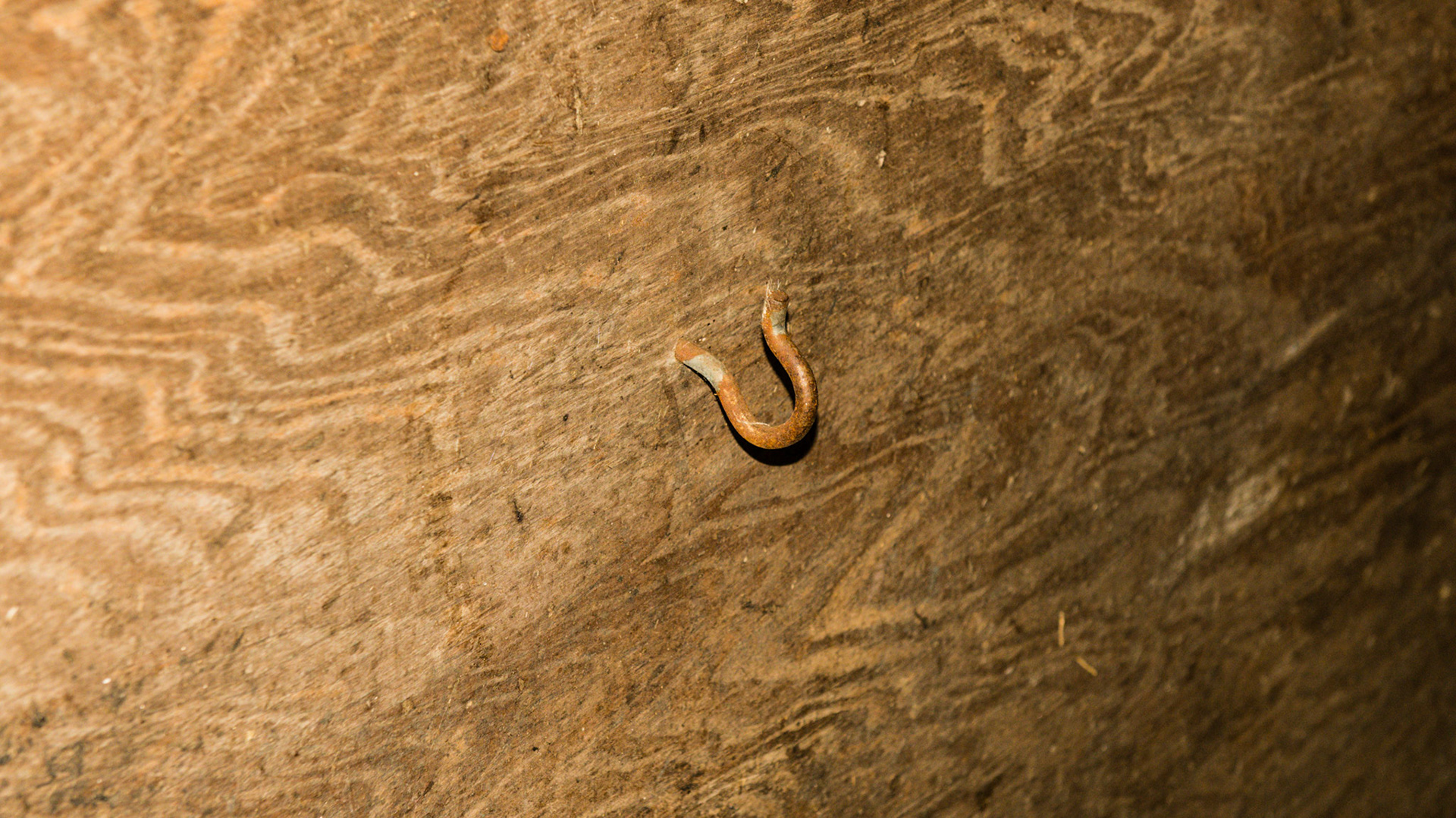 Hook at knee height on stall wall