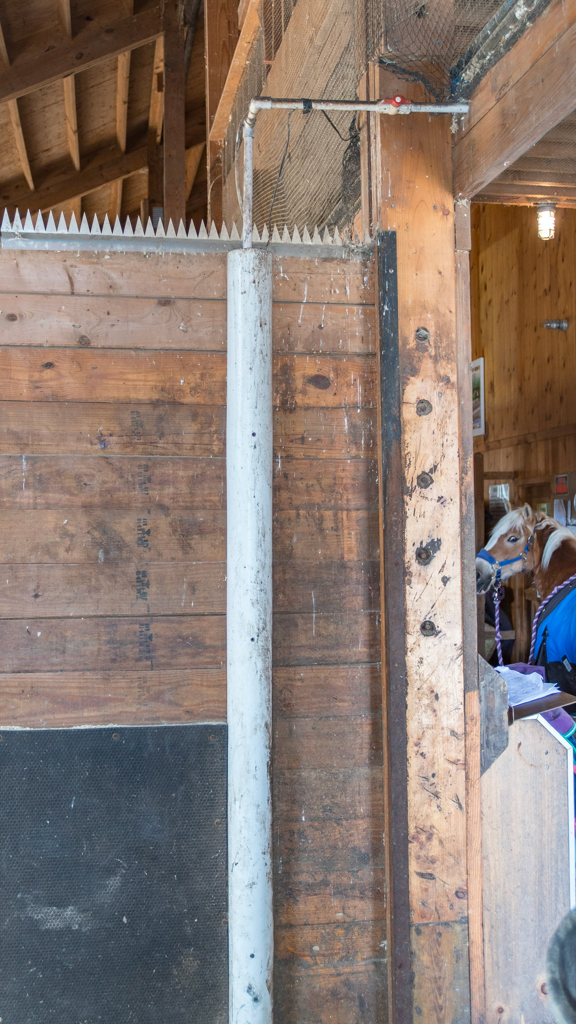 PVC pipe cut in 1/2 to protect water pipe