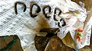 Horse A - Cribbing rings placed in between the incisors of this pony to prevent cribbing. This inhumane act often causes infection of the underlying bone.  These are the rings removed which are really staples that were cut with the wire cutters shown.