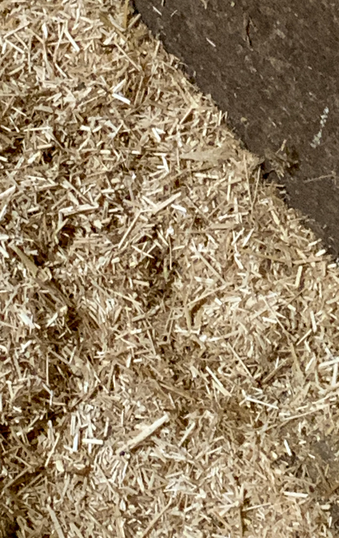 Flax bedding  finely chopped