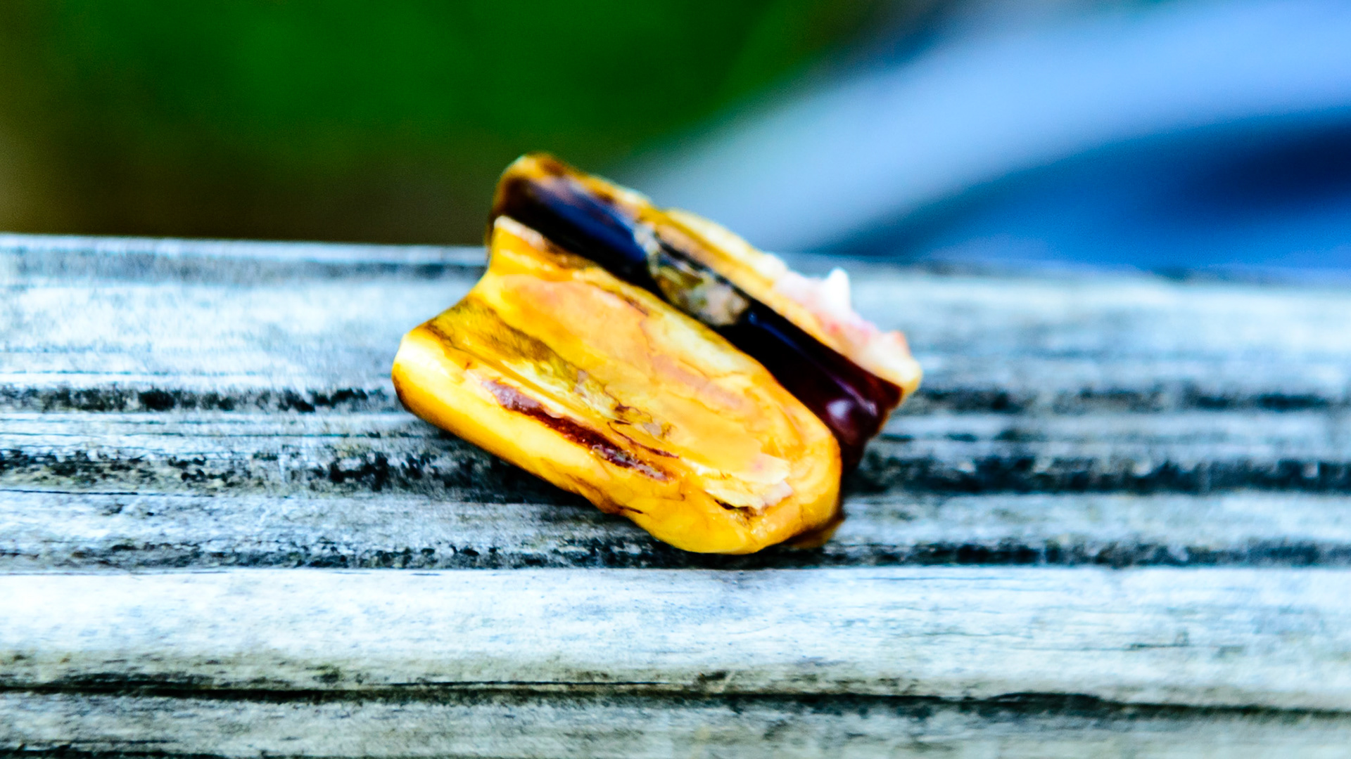 More cheek tooth fracture pieces.