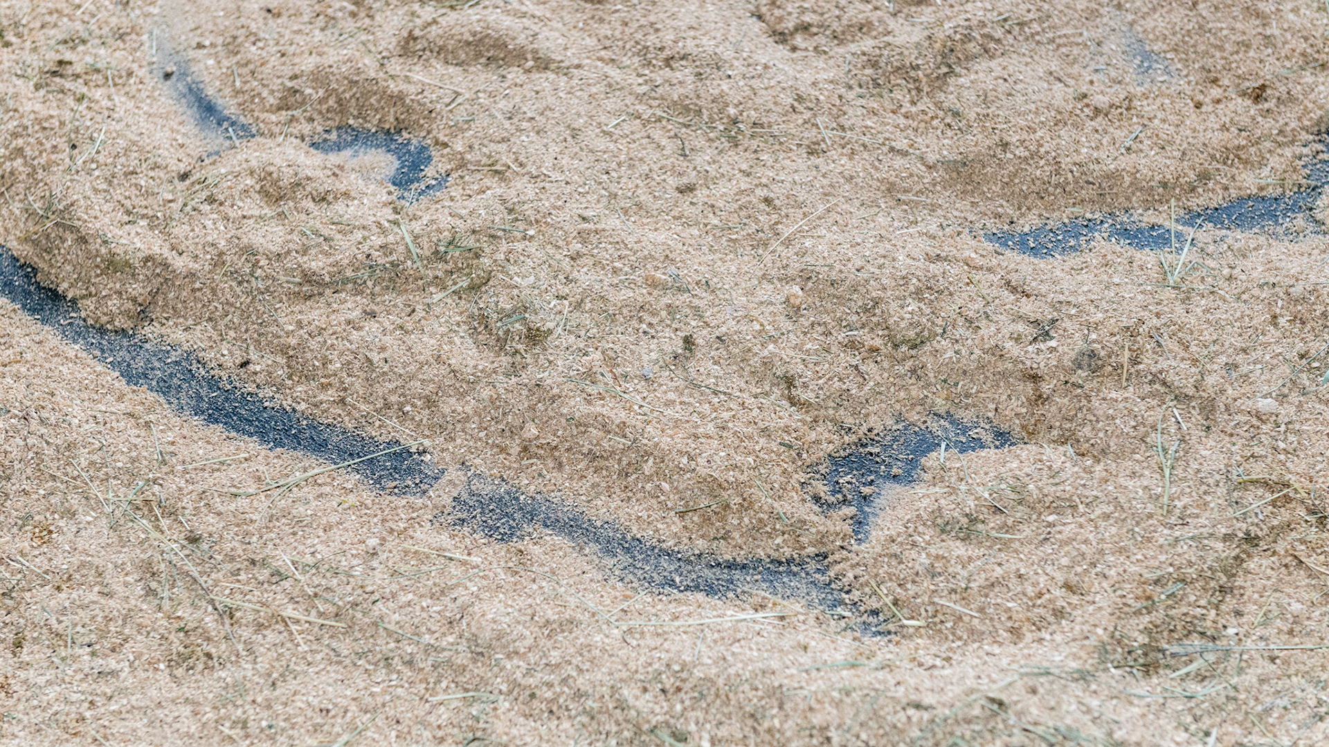 Bedding of wood pellets that have been allowed to crumble into sawdust.