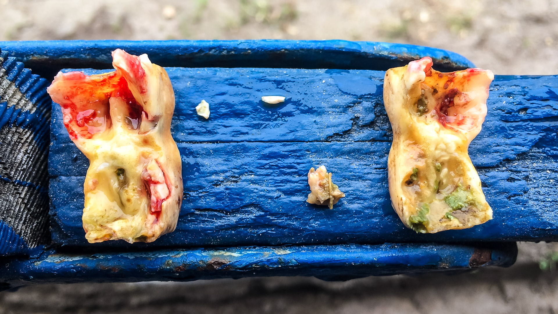 Cheek teeth caps and small remnants.