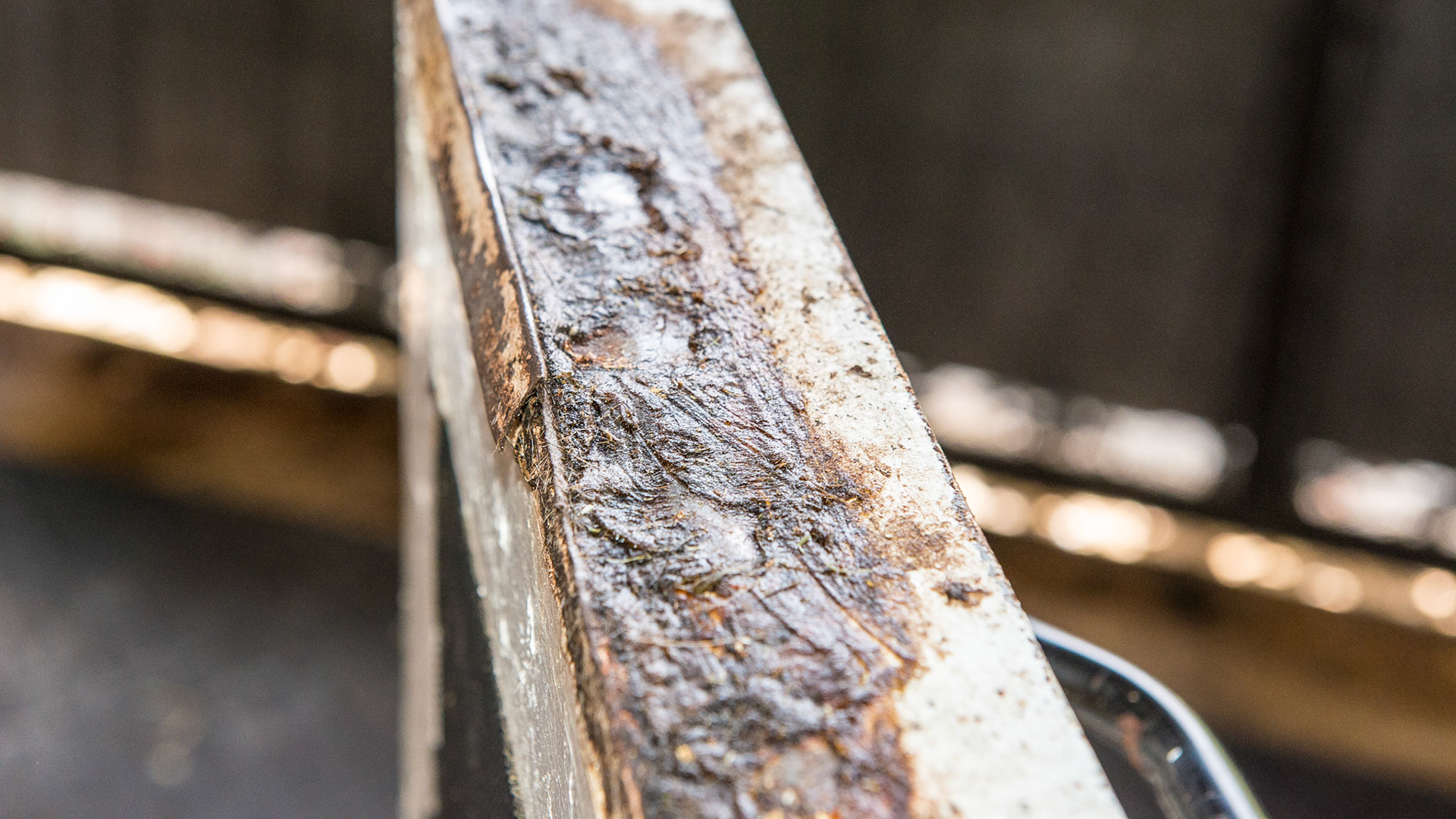 This is the metal edging on top of the stall door of the cribbing horse with the damaged incisors.  It is covered with a gooey material to discourage cribbing on the edge.