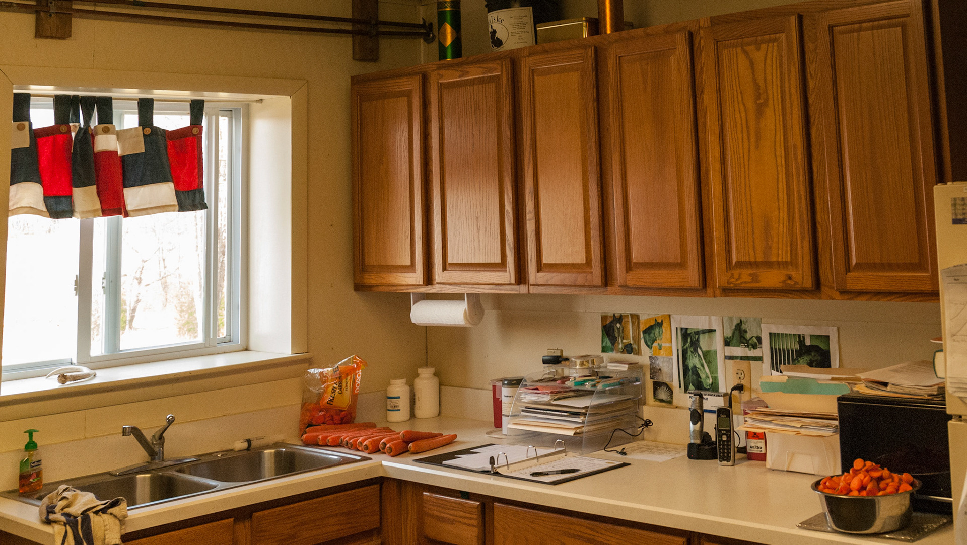An organized feed room with a notebook recording daily feeding, treatments and observations.  Note the work in cleaning and then cutting the carrots into bite sized pieces.  I do not like feeding carrots to horses.